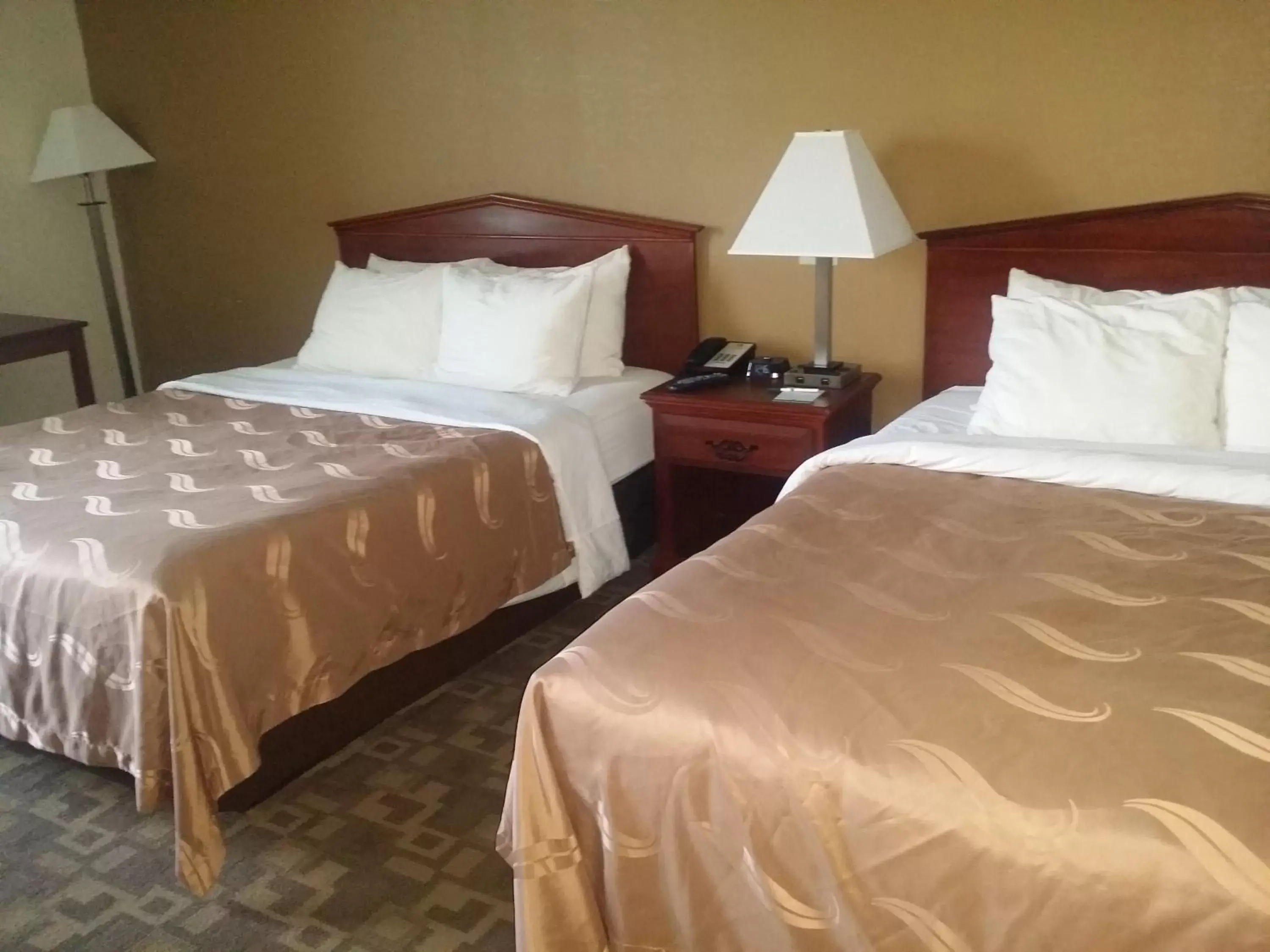 Family, Bed in Quality Inn & Suites Schoharie near Howe Caverns
