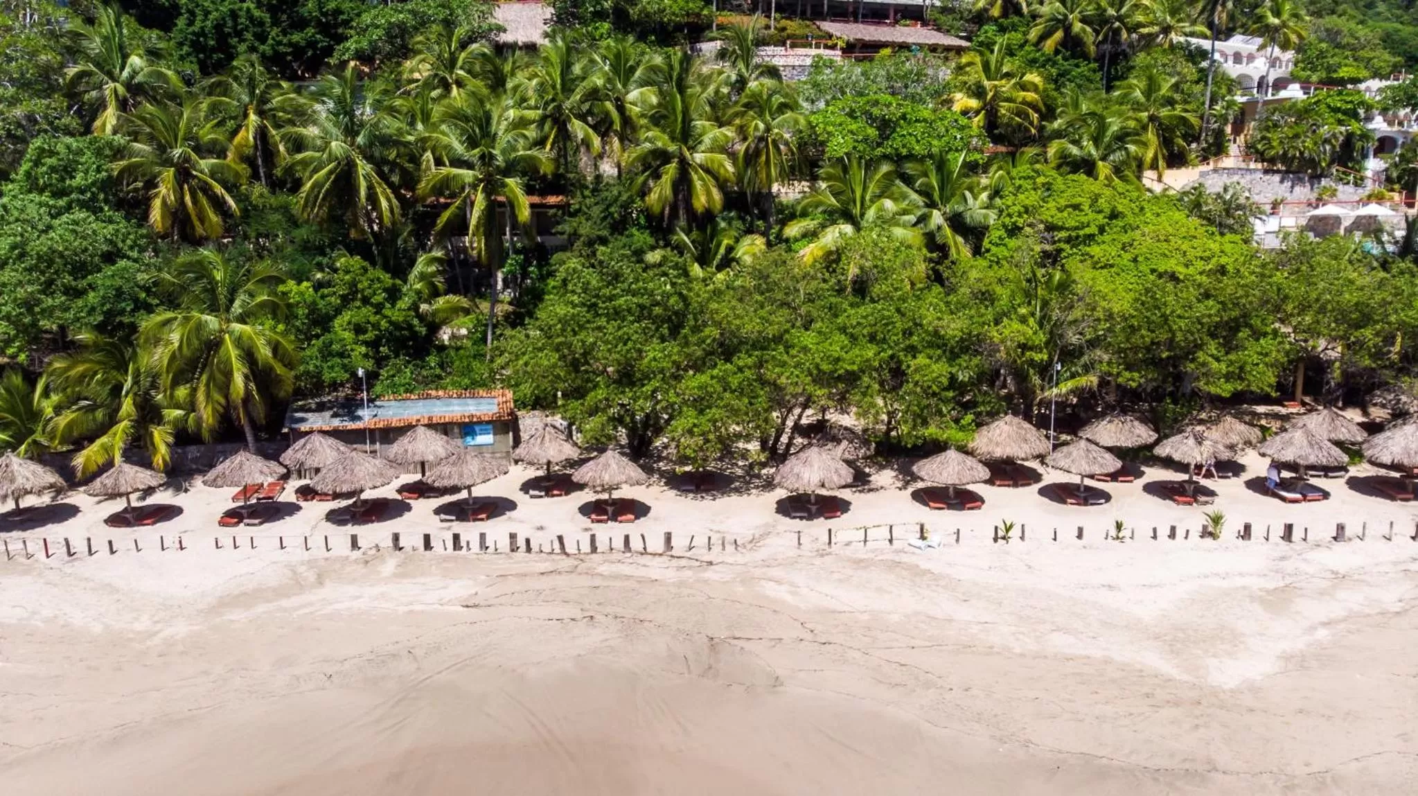 Natural landscape in Hotel Catalina Beach Resort