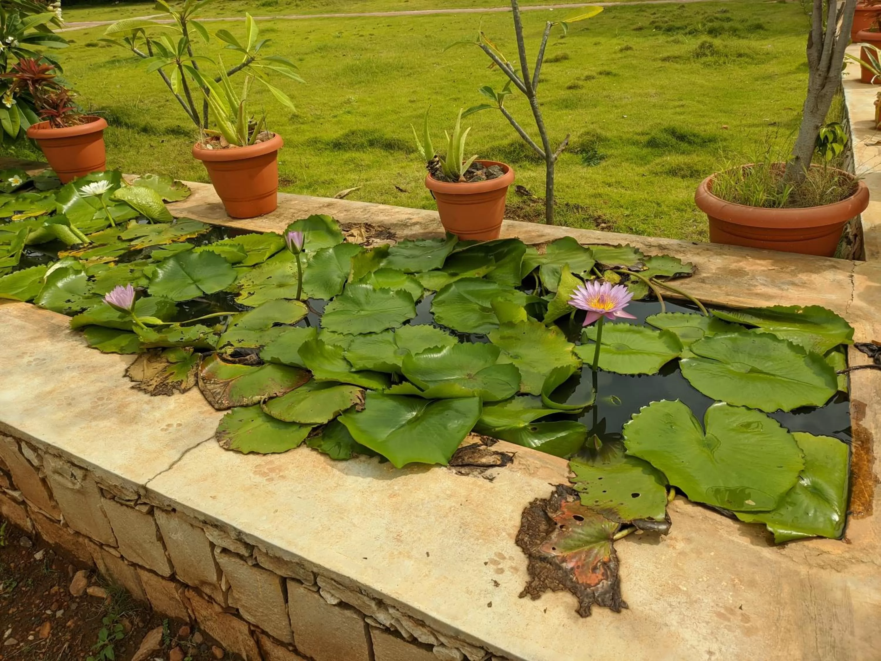Garden in Kanthi Resorts Badami
