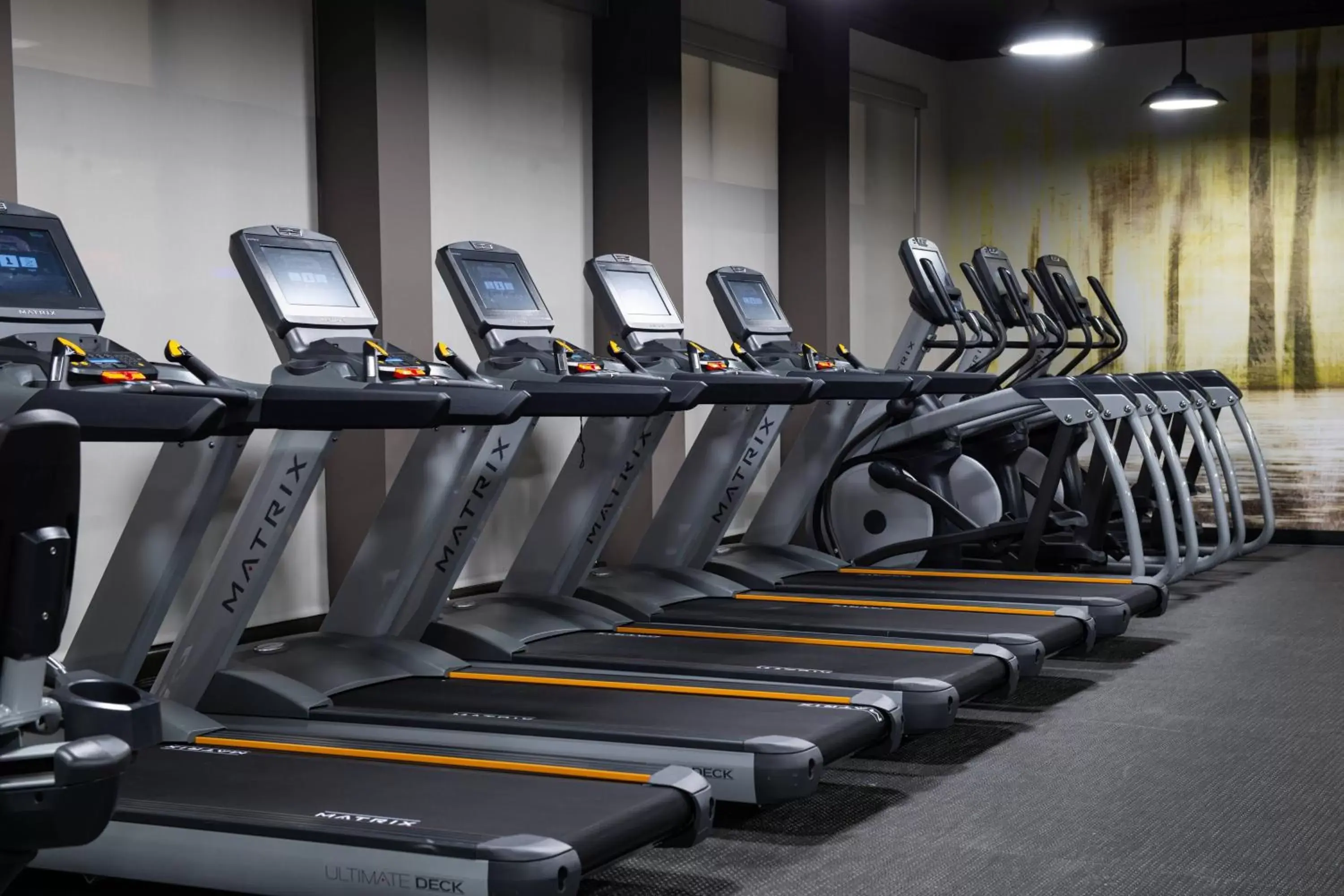 Fitness centre/facilities, Fitness Center/Facilities in Courtyard Kansas City Olathe