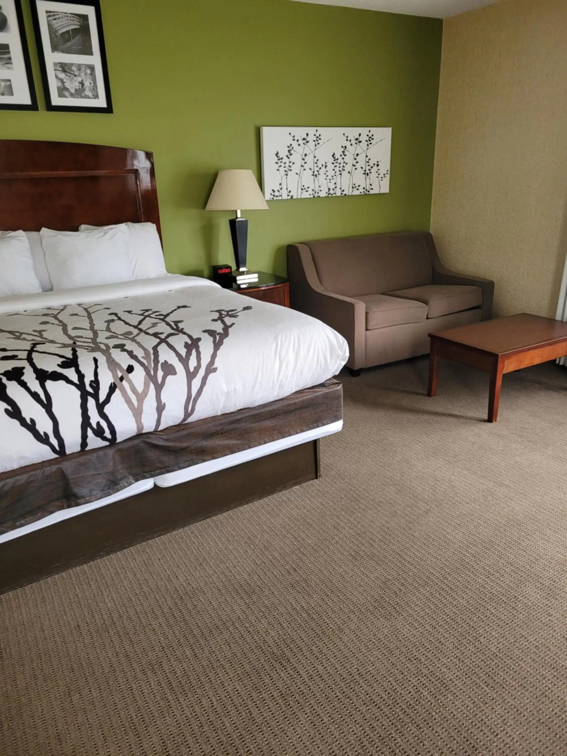 Photo of the whole room, Bed in Sleep Inn & Suites near Joint Base Andrews-Washington Area