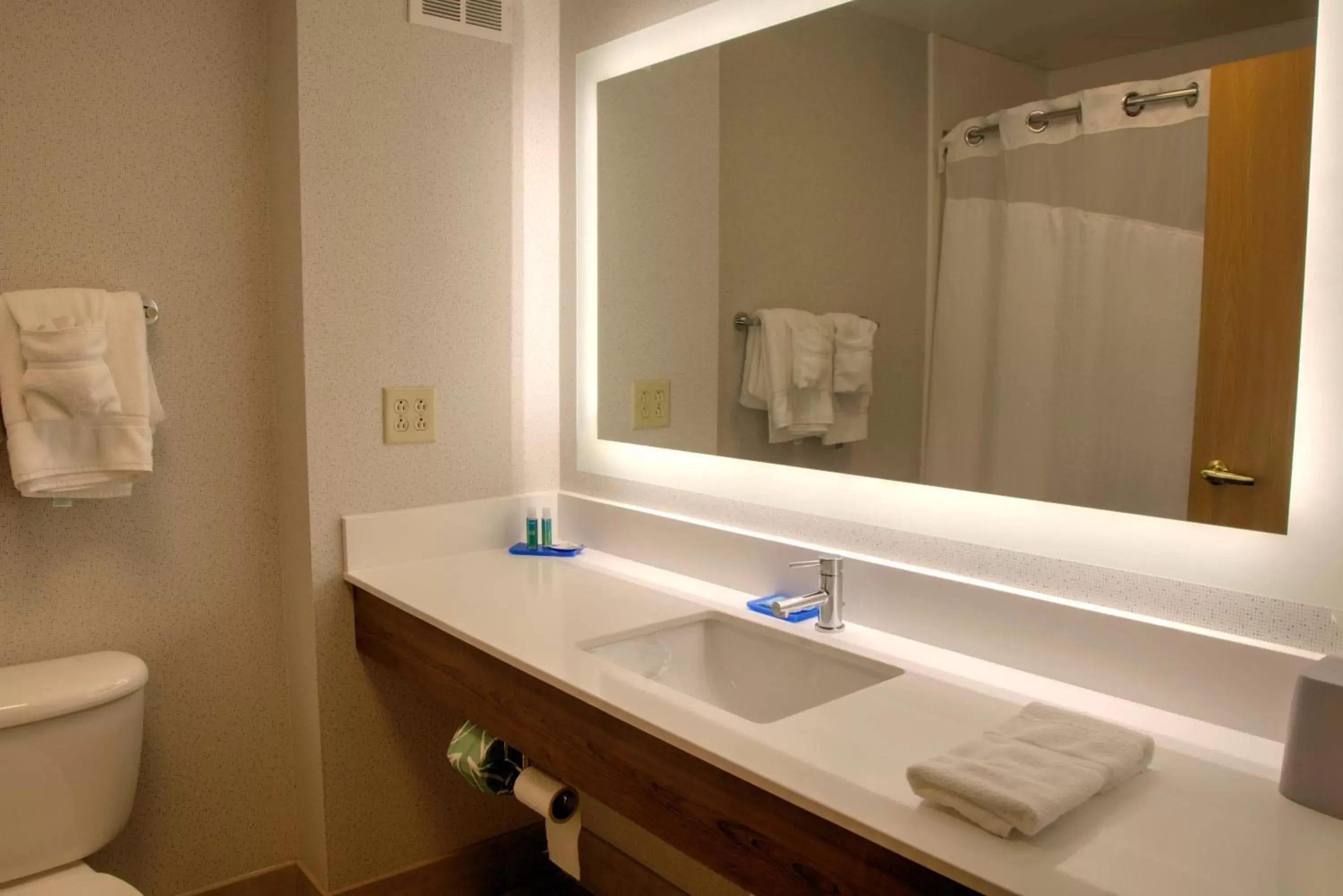 Bathroom in Holiday Inn Express Rochelle, an IHG Hotel