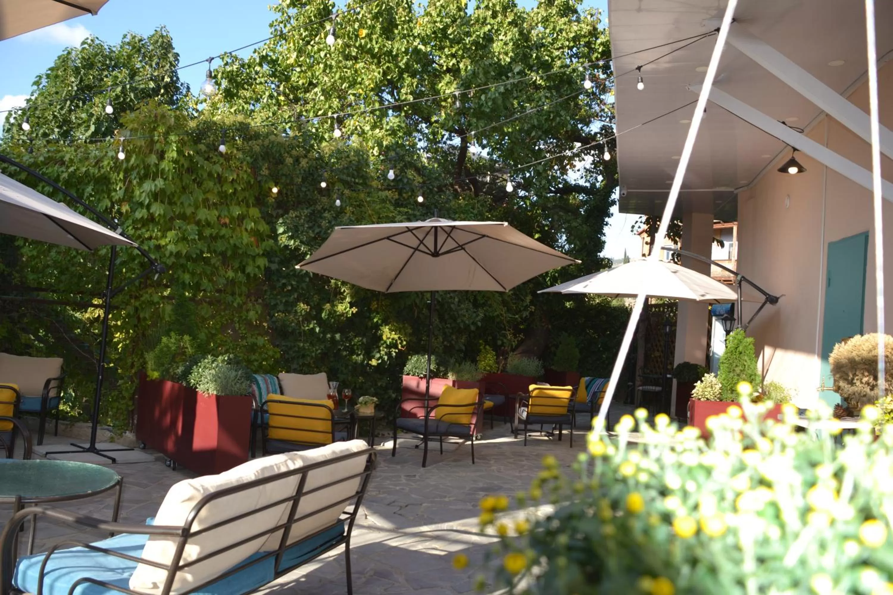 Restaurant/places to eat in Gvino Minda