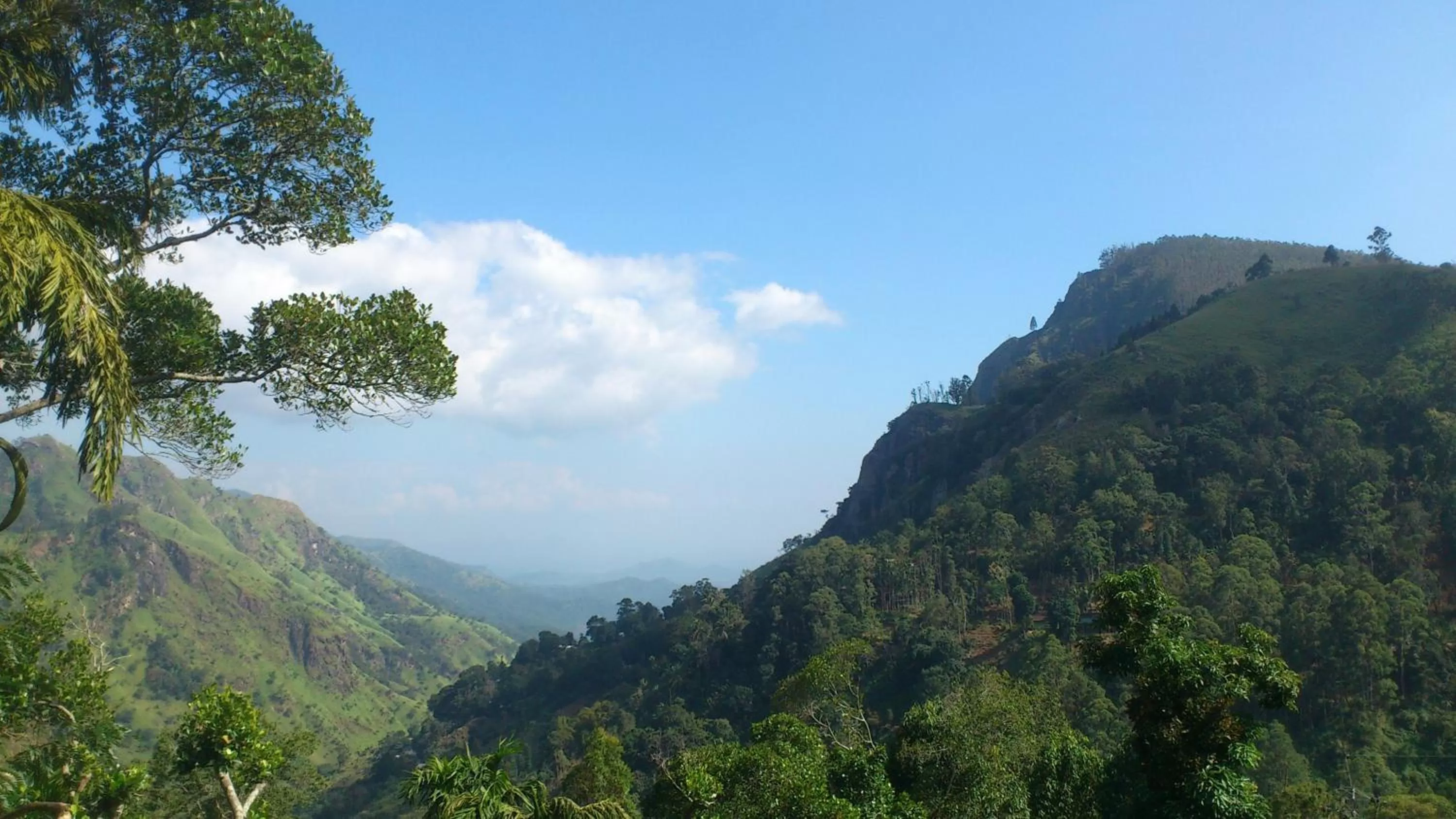View (from property/room) in Blue Ribbon Homestay