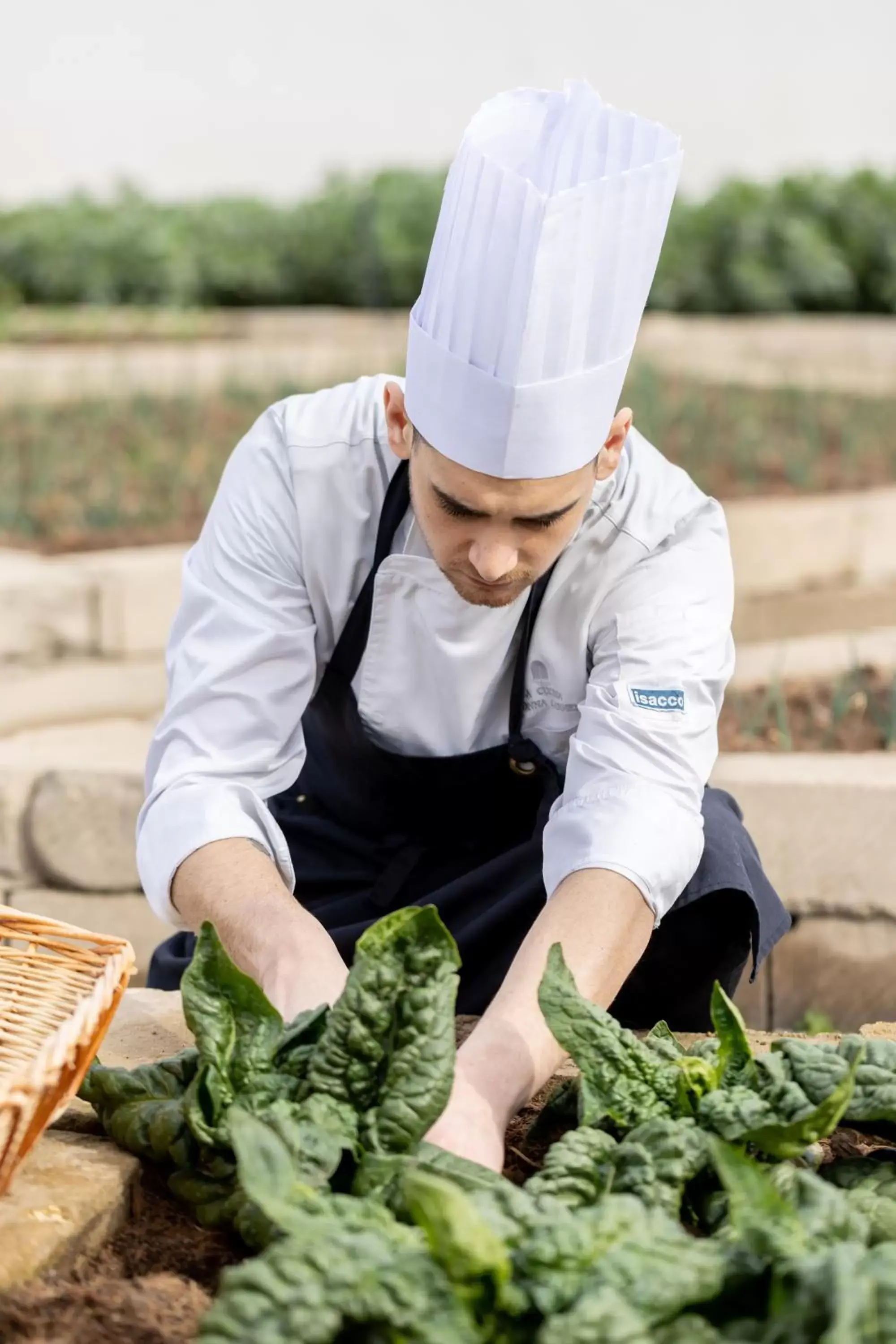 Food and drinks, Staff in Donna Carmela Resort & Lodges