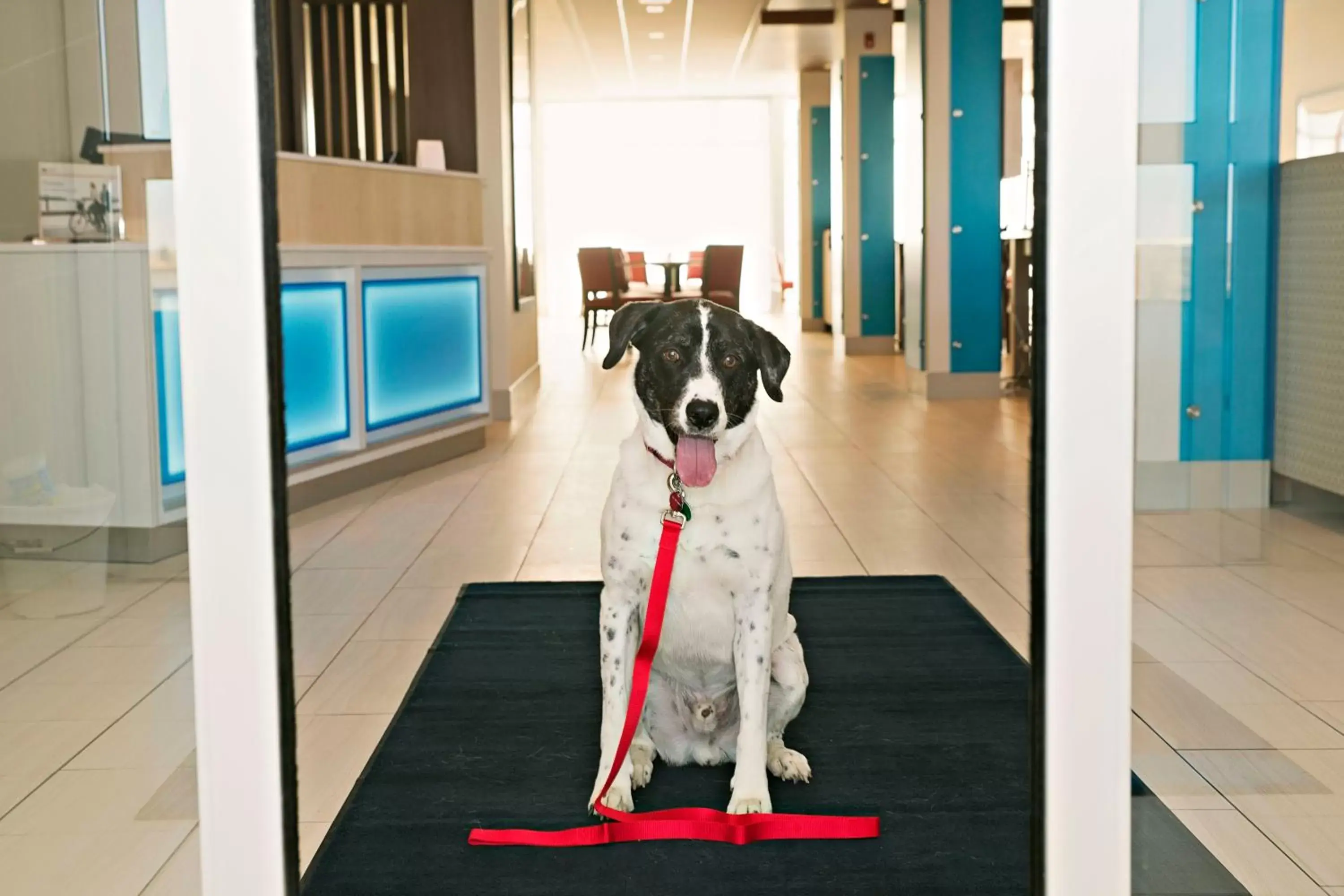 Lobby or reception in Holiday Inn Express & Suites - Rantoul by IHG Lobby or reception in Holiday Inn Express & Suites - Rantoul by IHG