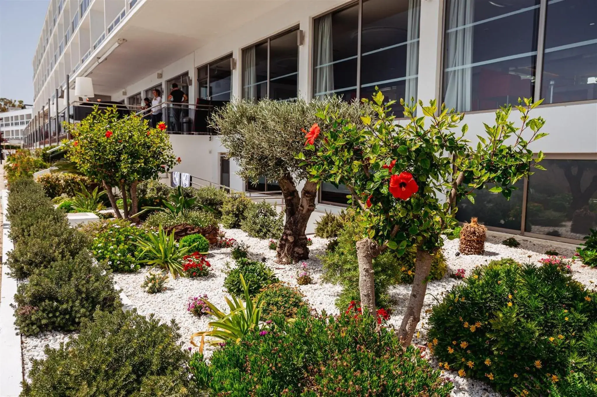 Property building, Garden in Hotel Simbad Ibiza & Spa
