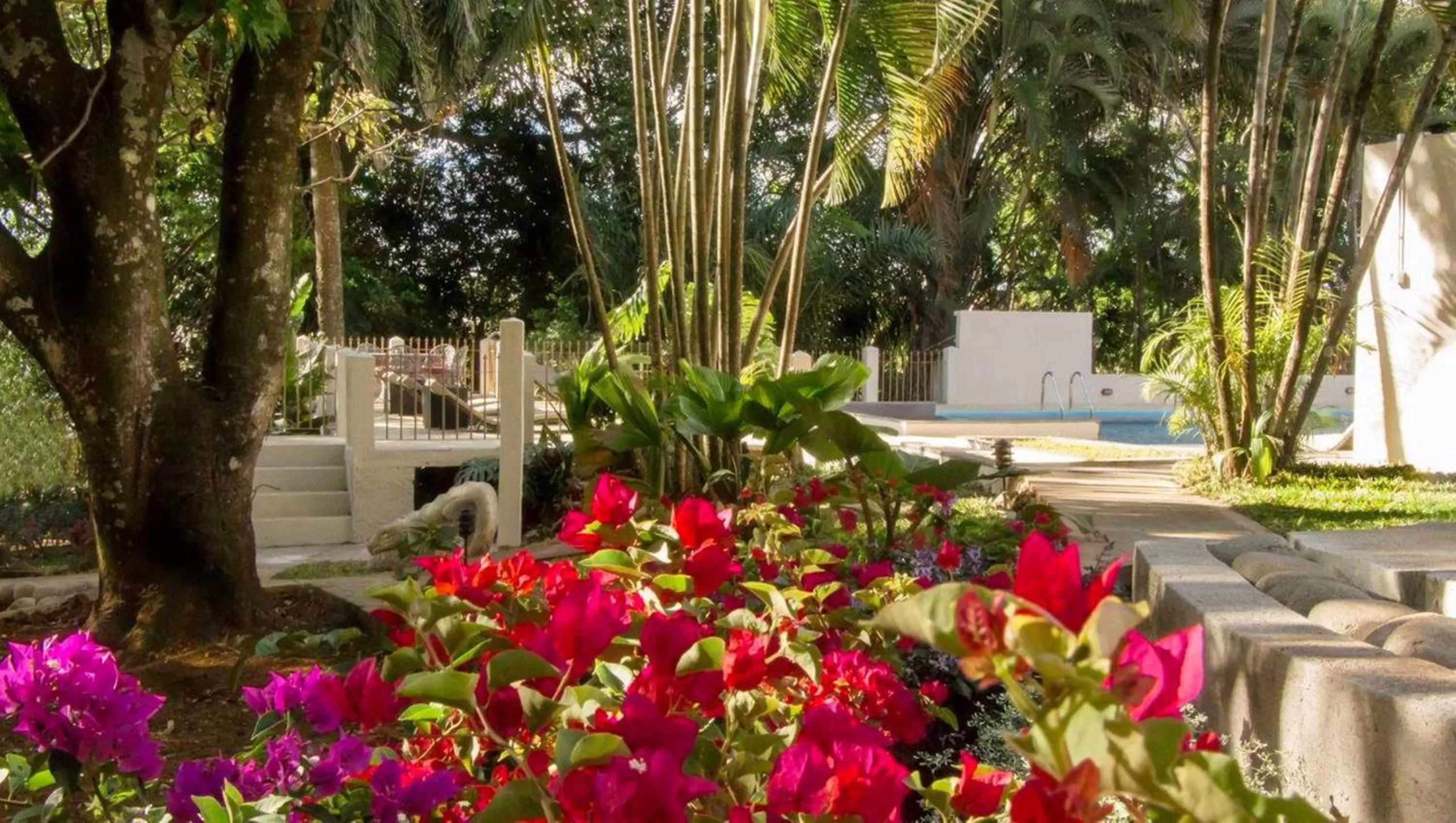 Day in Villa San Ignacio