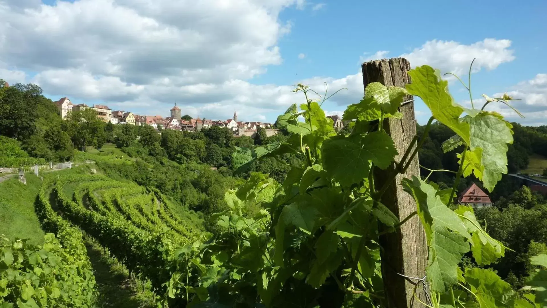 Natural landscape in Hotel Rappen Rothenburg ob der Tauber