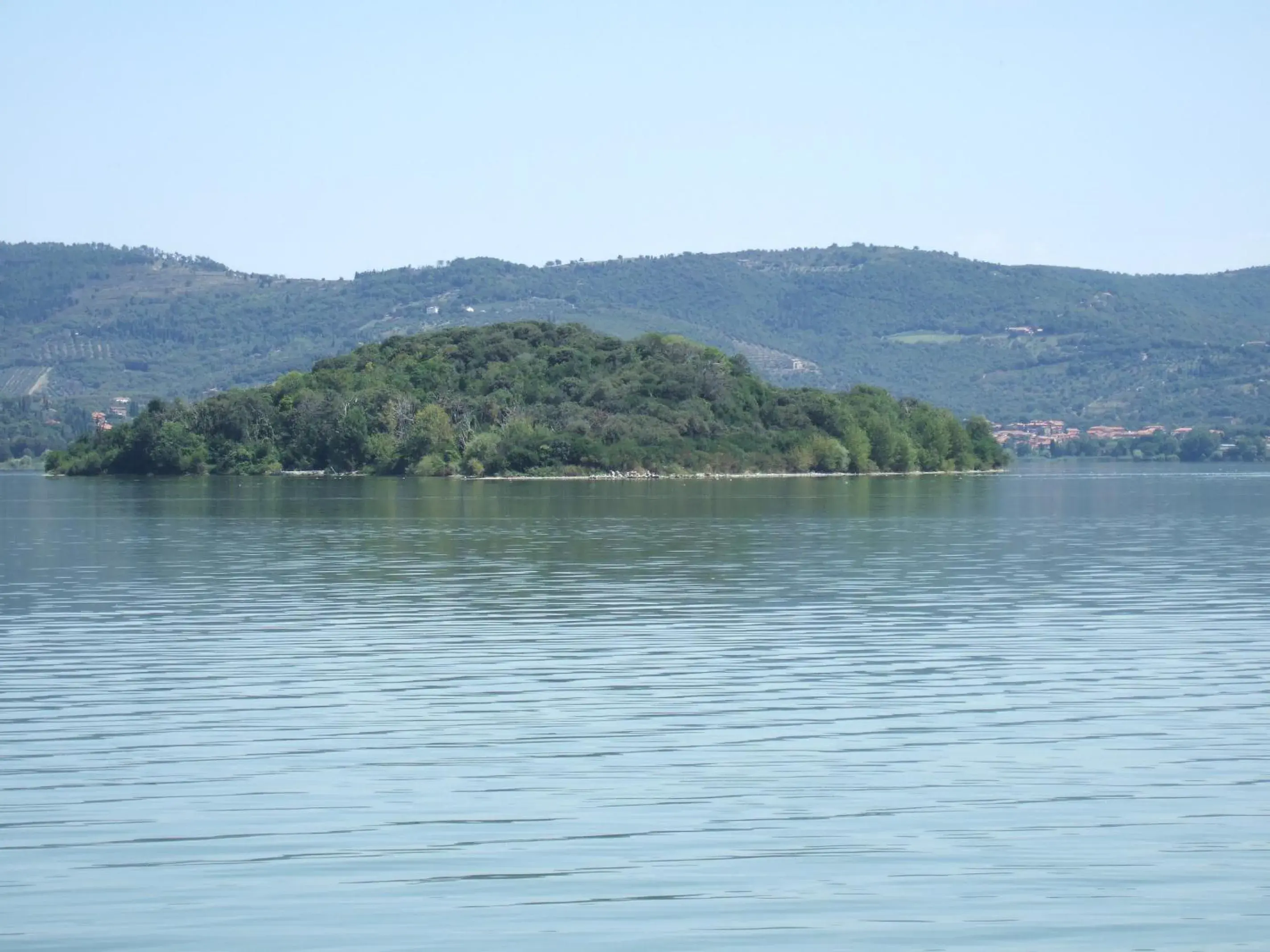 Area and facilities in Hotel La Torre