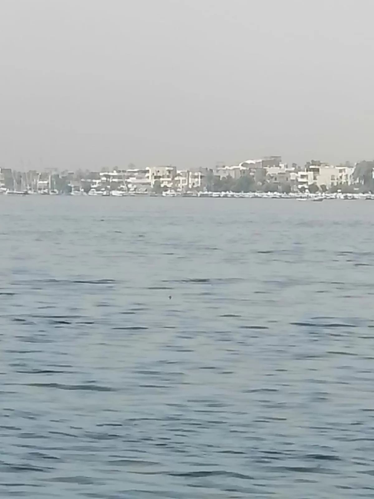 Windsor Hotel Luxor 中國人之家