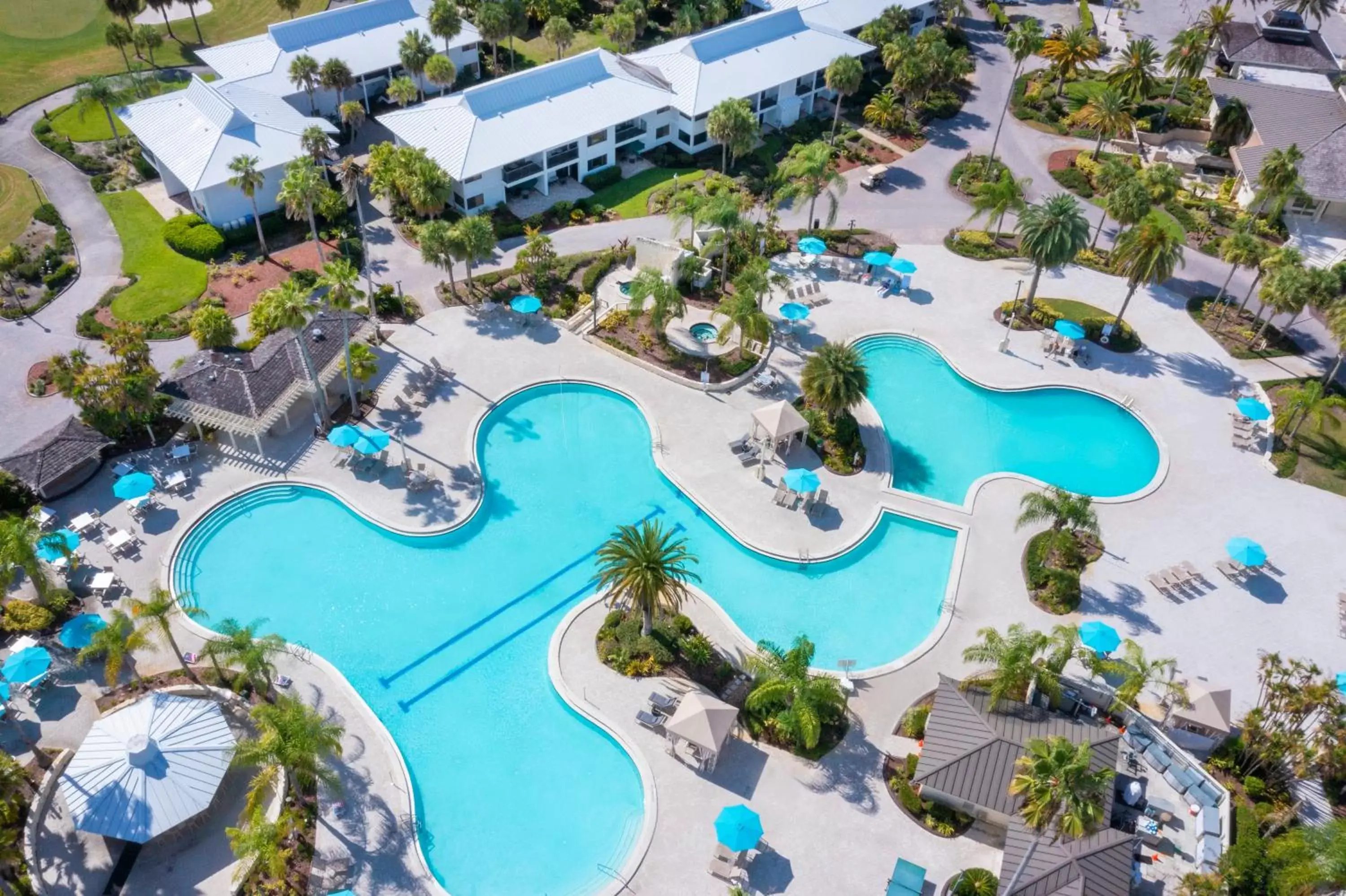 Bird's eye view, Pool View in Saddlebrook Golf Resort & Spa Tampa North-Wesley Chapel