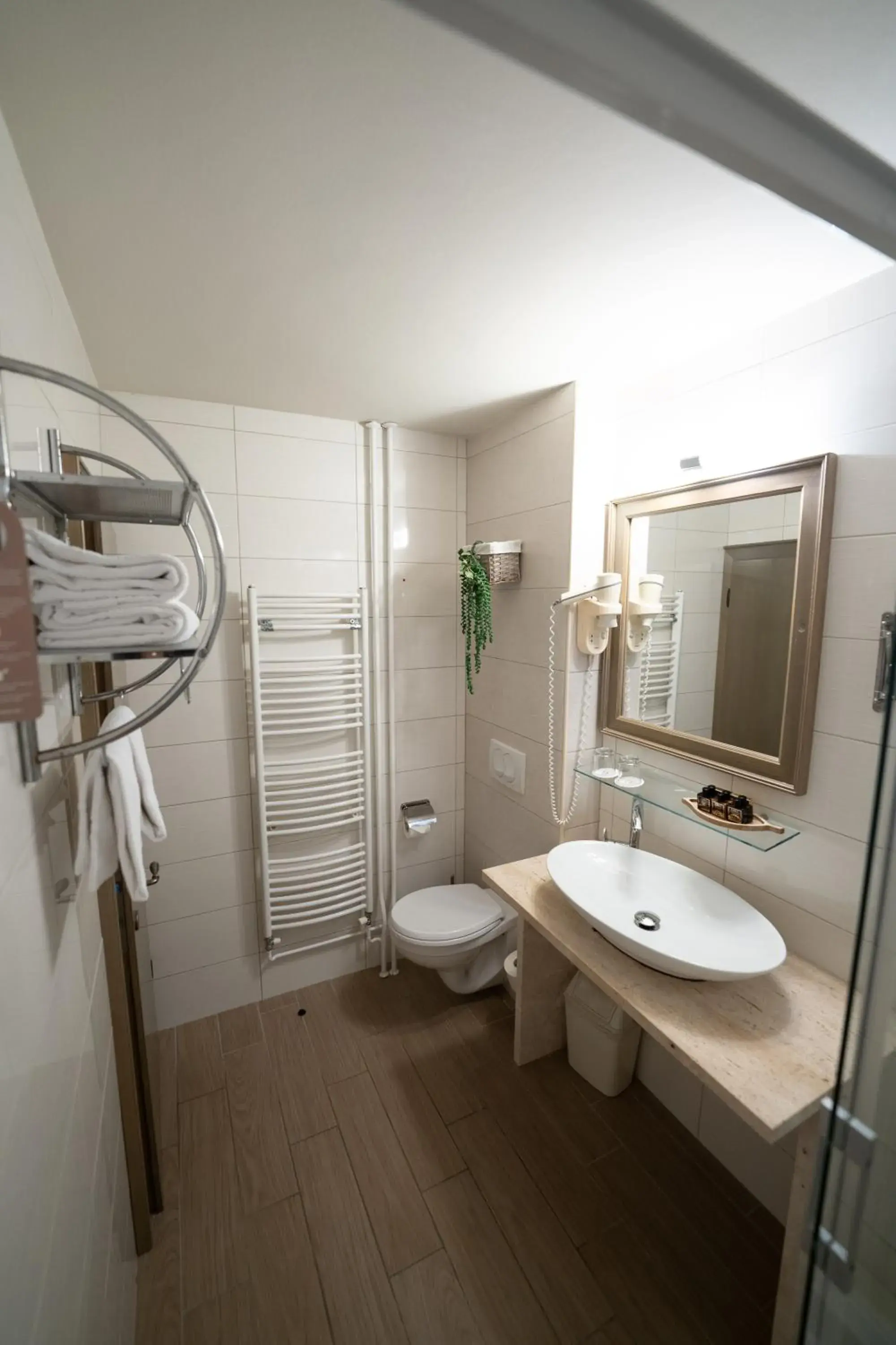 Toilet, Bathroom in Hotel Piran