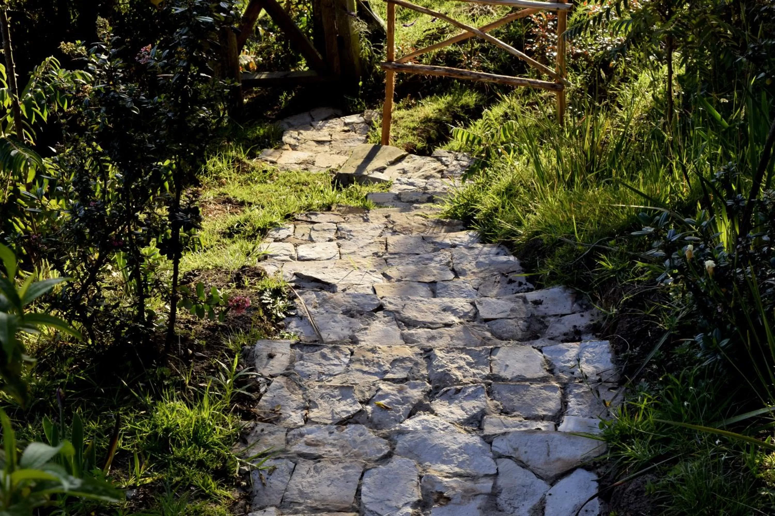 Garden in El Pedregal Sopó
