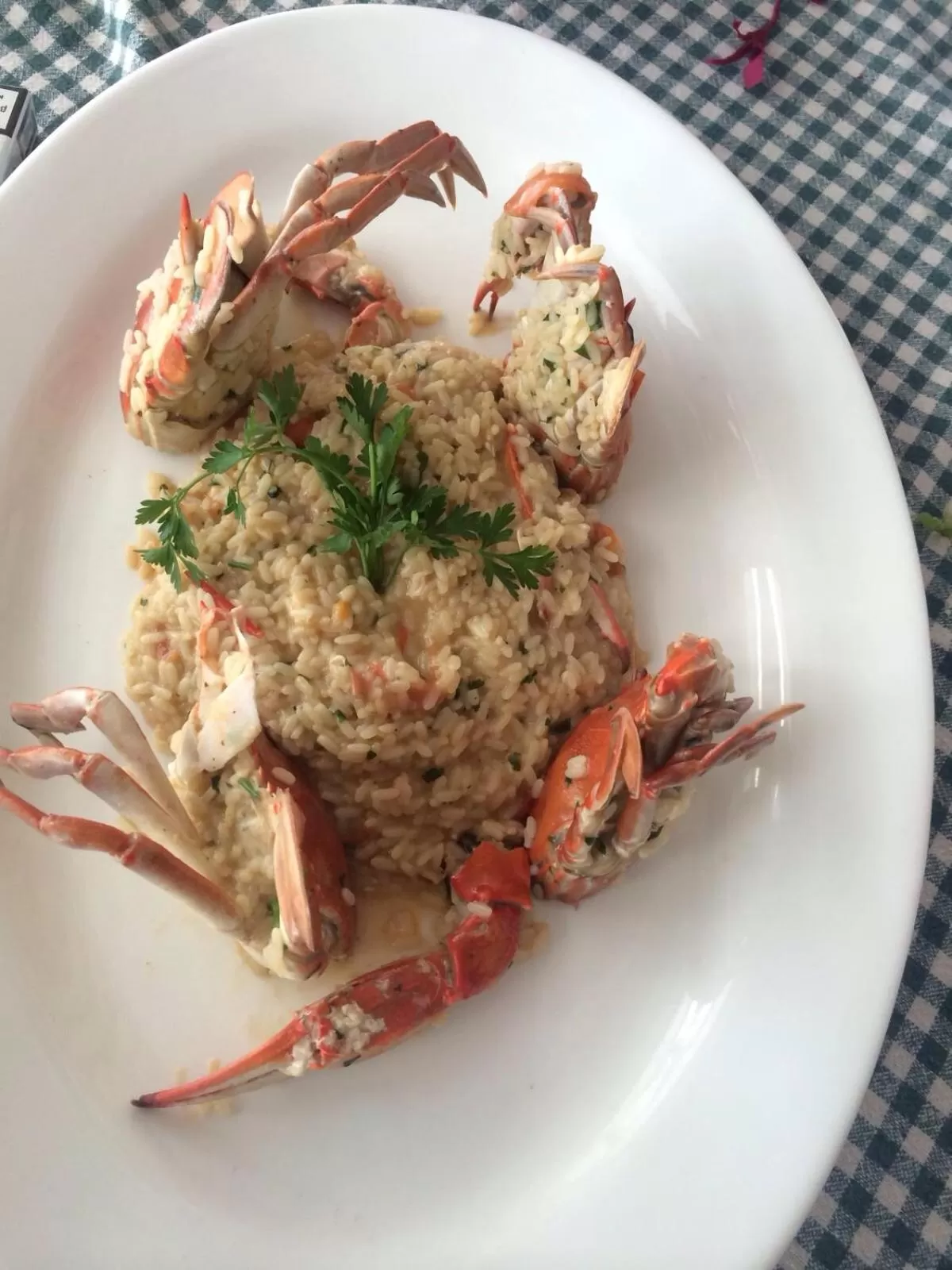 Restaurant/places to eat in Hotel Lido