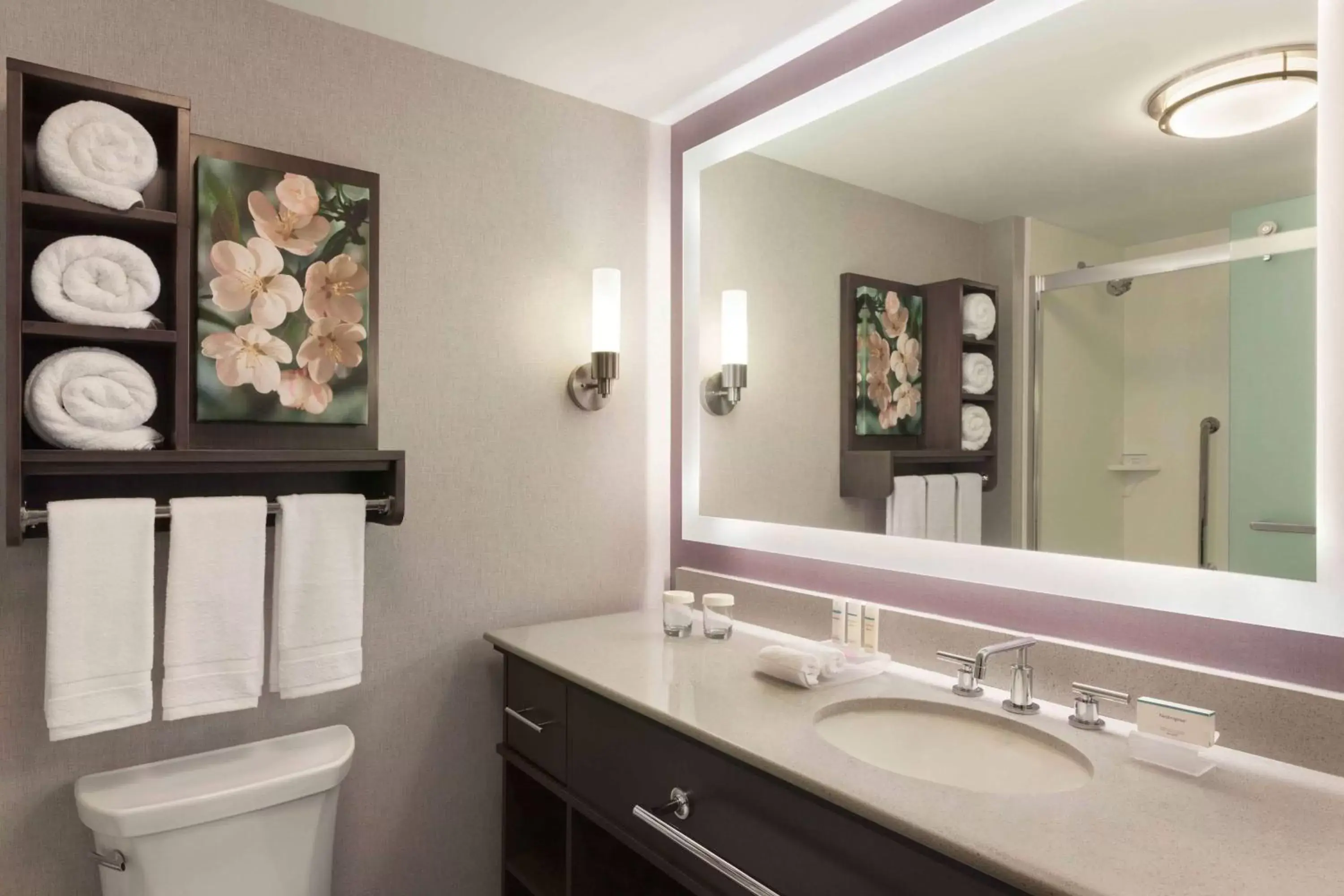 Bathroom in Homewood Suites by Hilton Washington DC Convention Center