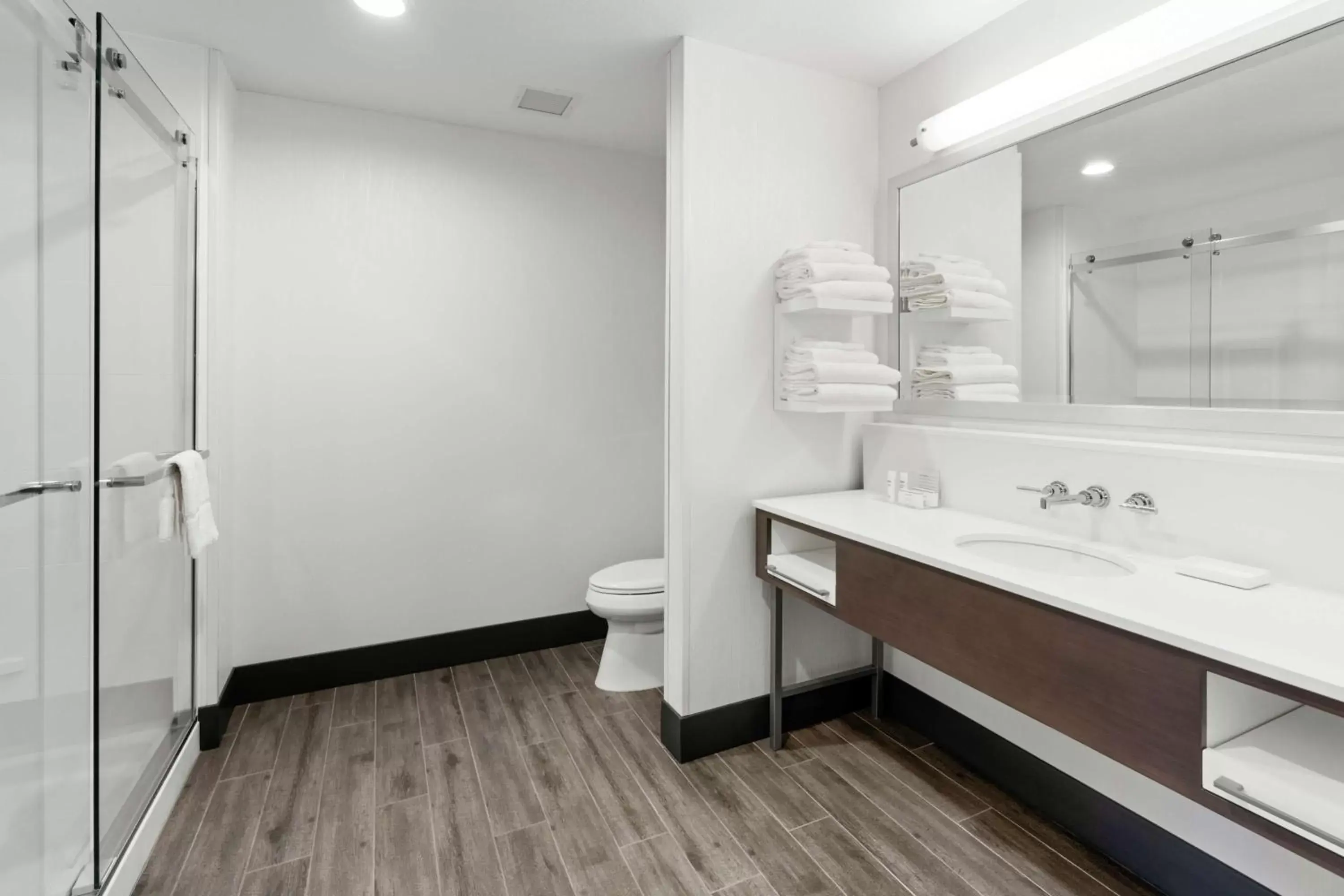 Bathroom in Hampton Inn & Suites Spokane Downtown-South