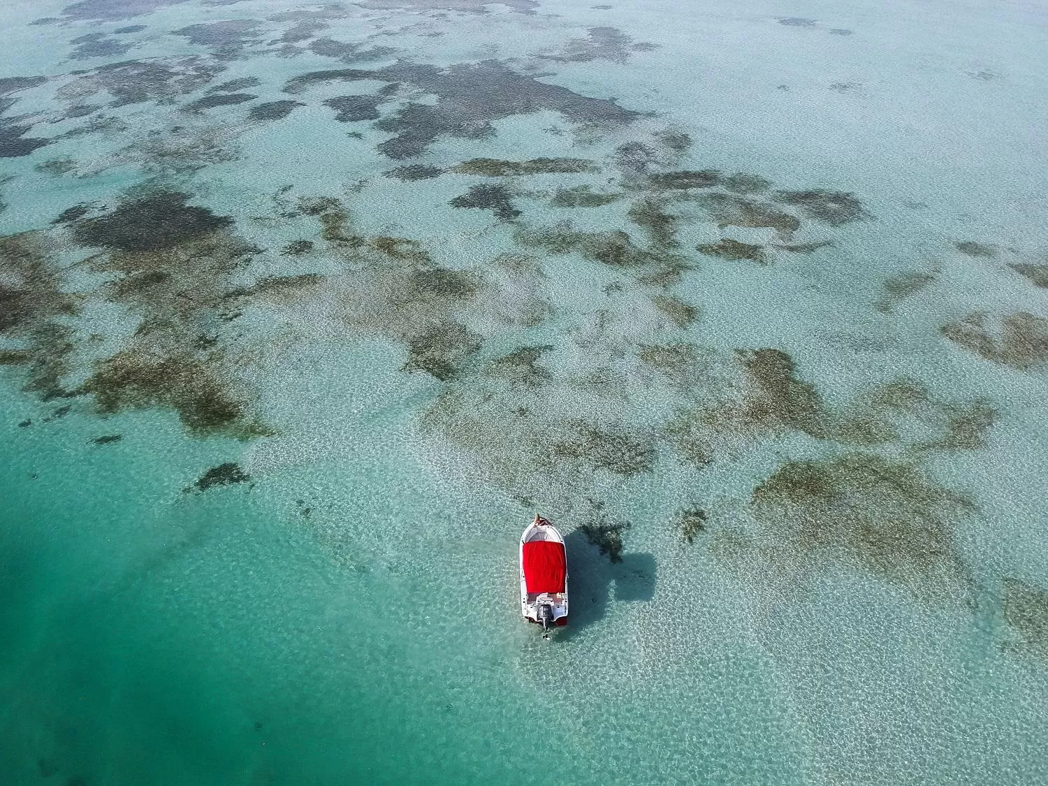 Natural landscape in The Perry Hotel & Marina Key West