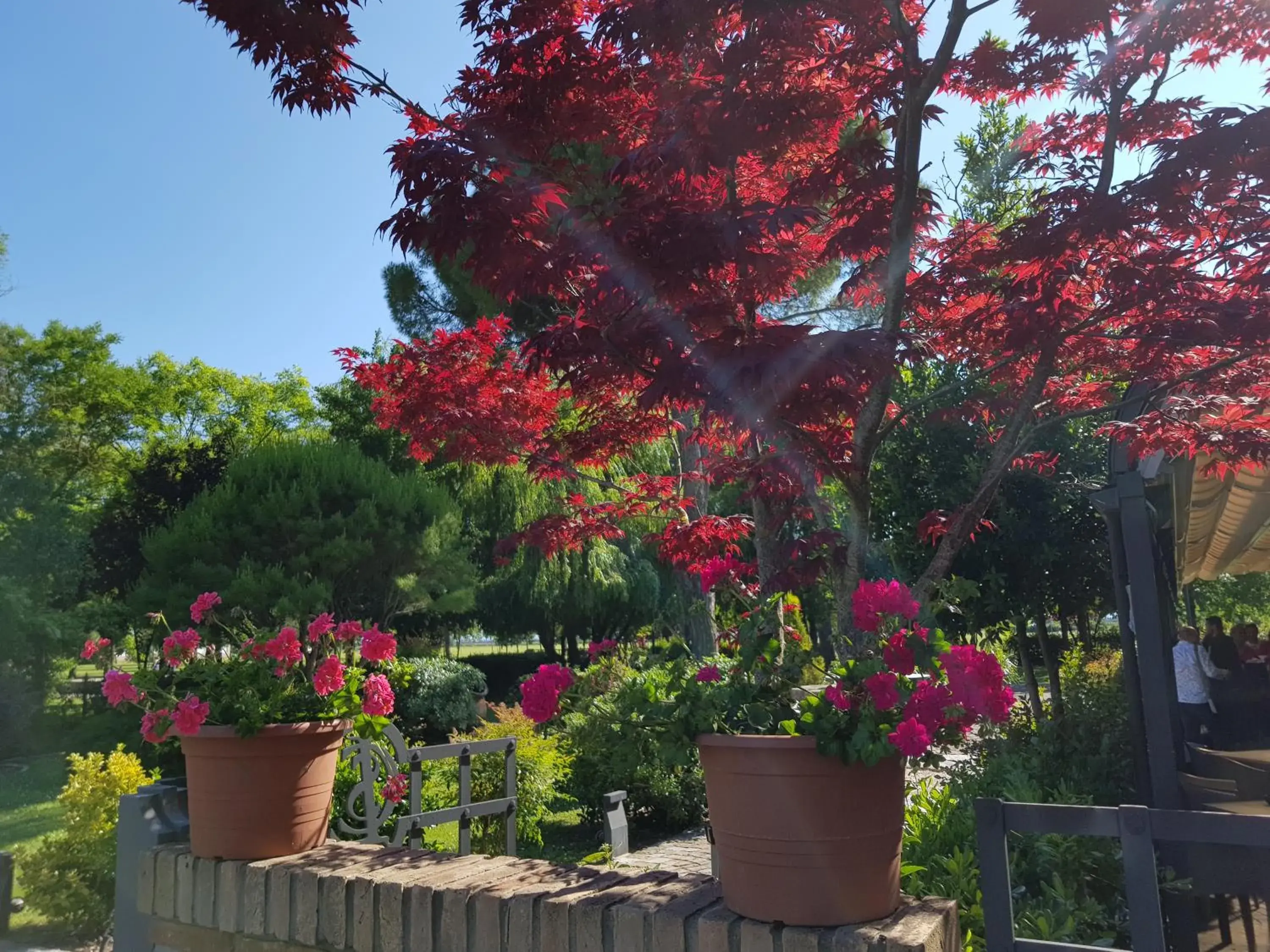 Garden in Hotel Classensis