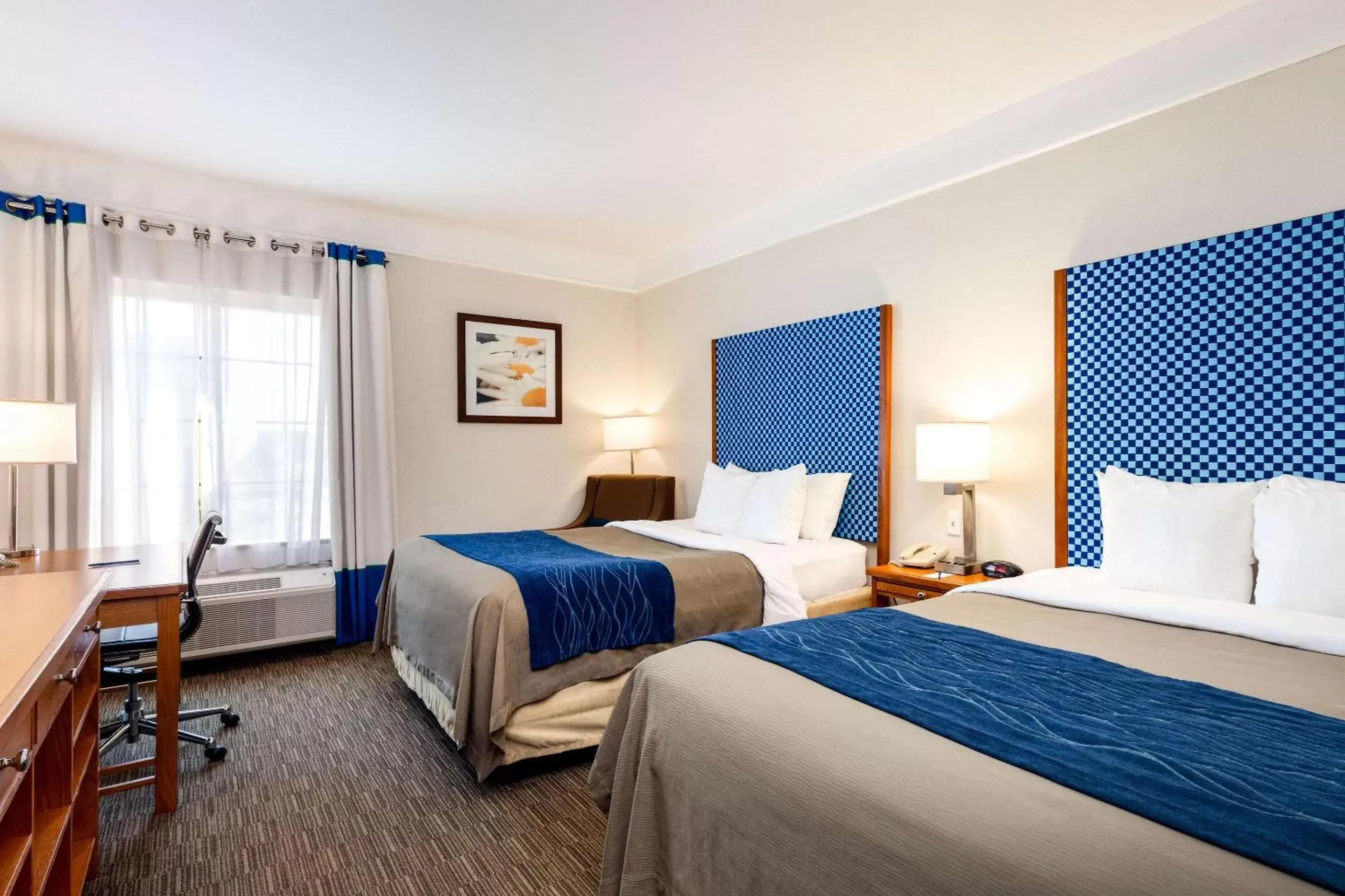 Photo of the whole room, Bed in Comfort Inn & Suites Savannah Airport