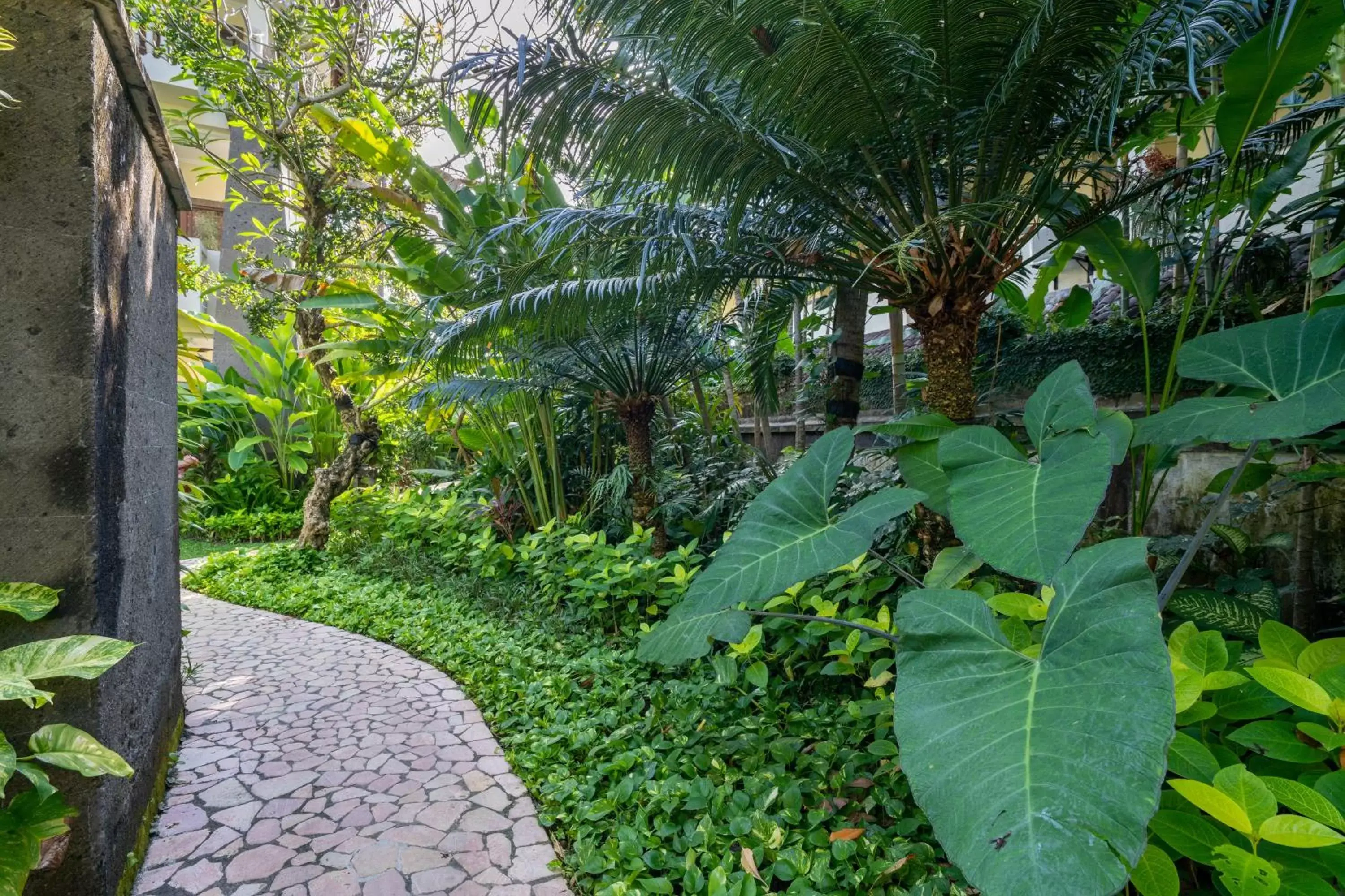 Garden in Hotel Kumala Pantai - CHSE Certified