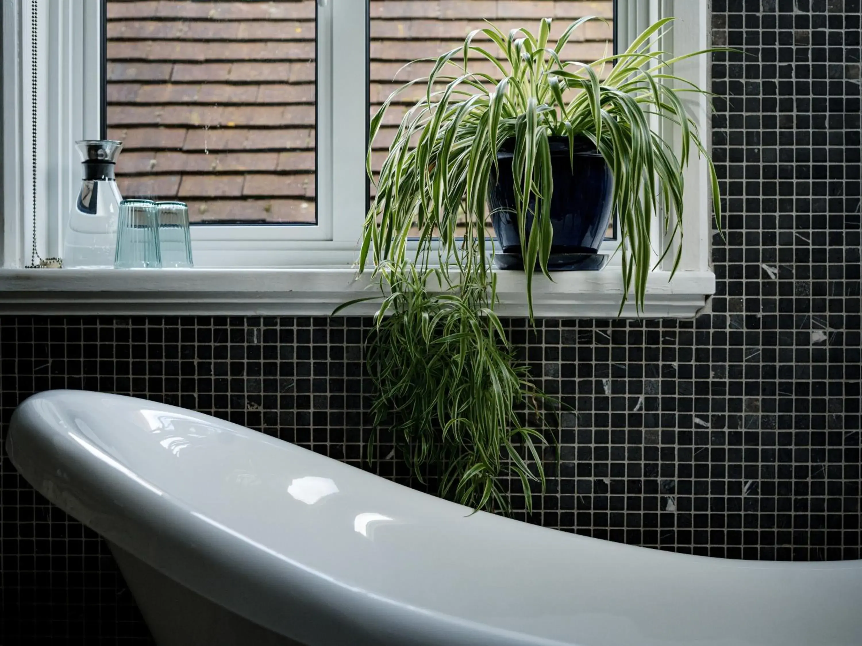 Bath, Bathroom in Berwick Lodge