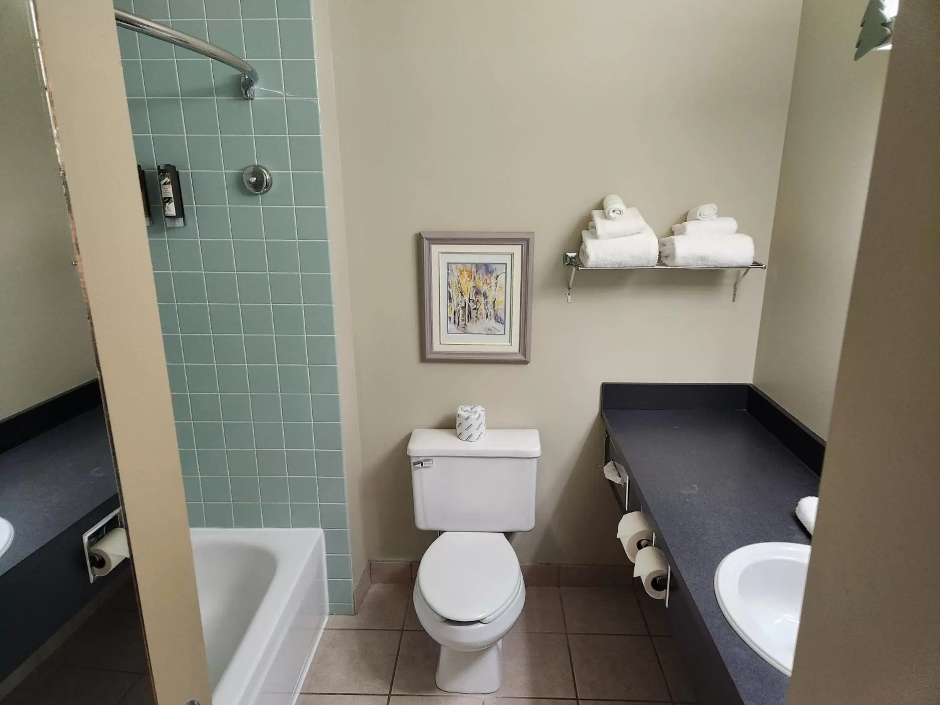 Shower, Bathroom in Waterton Lakes Lodge Resort