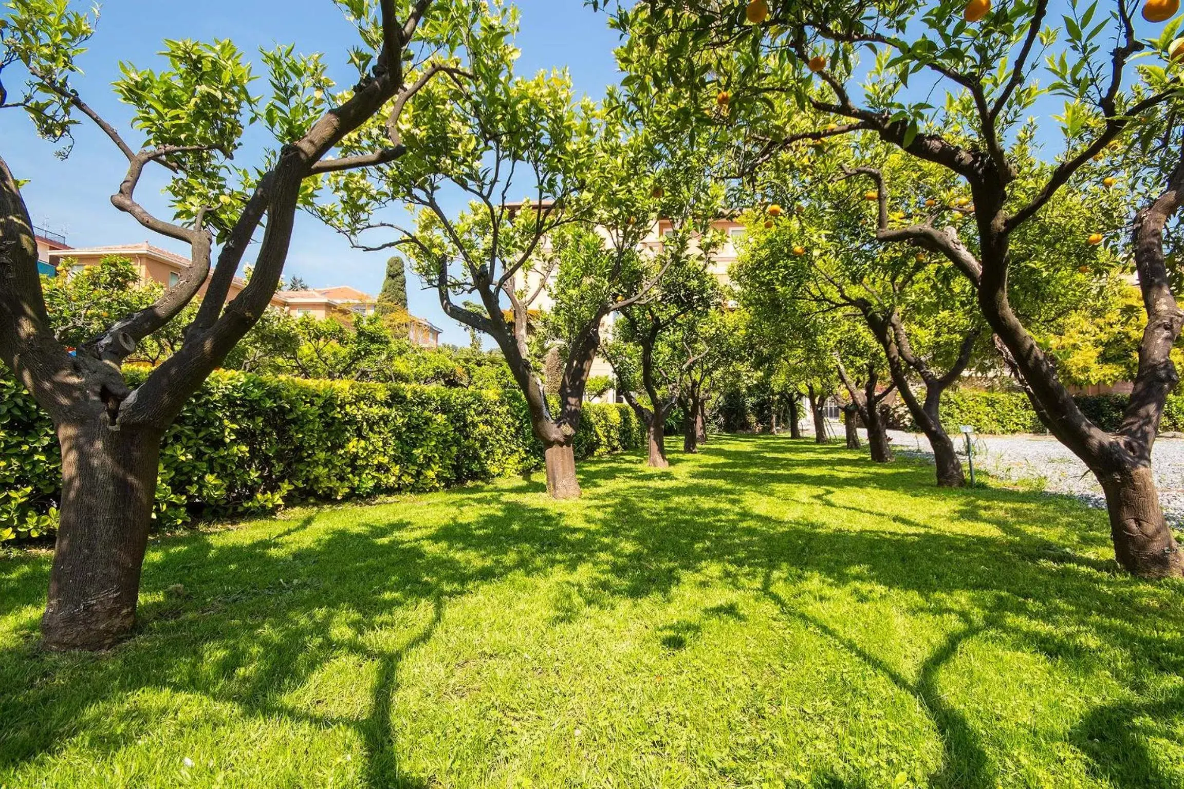 Natural landscape, Garden in Hotel Villa San Giuseppe