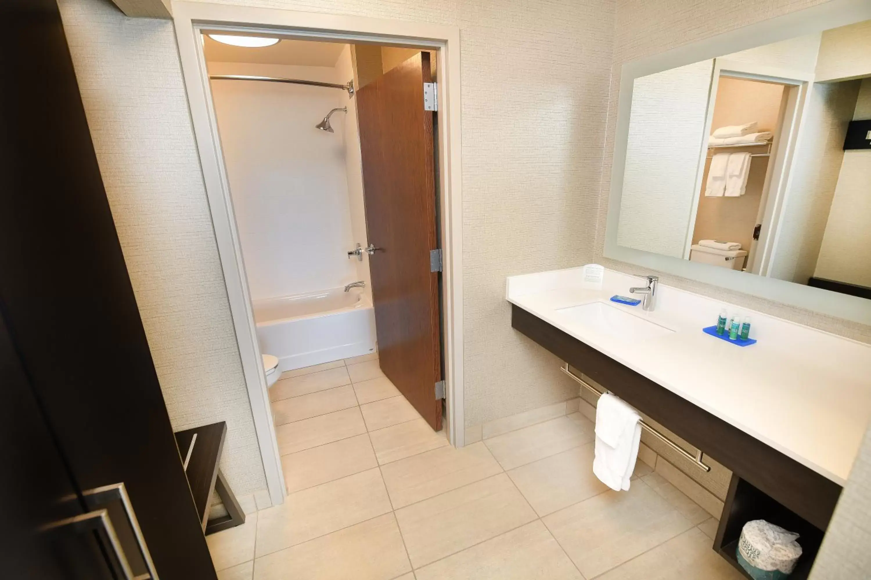 Photo of the whole room, Bathroom in Holiday Inn Express Hotel & Suites Grand Forks, an IHG Hotel