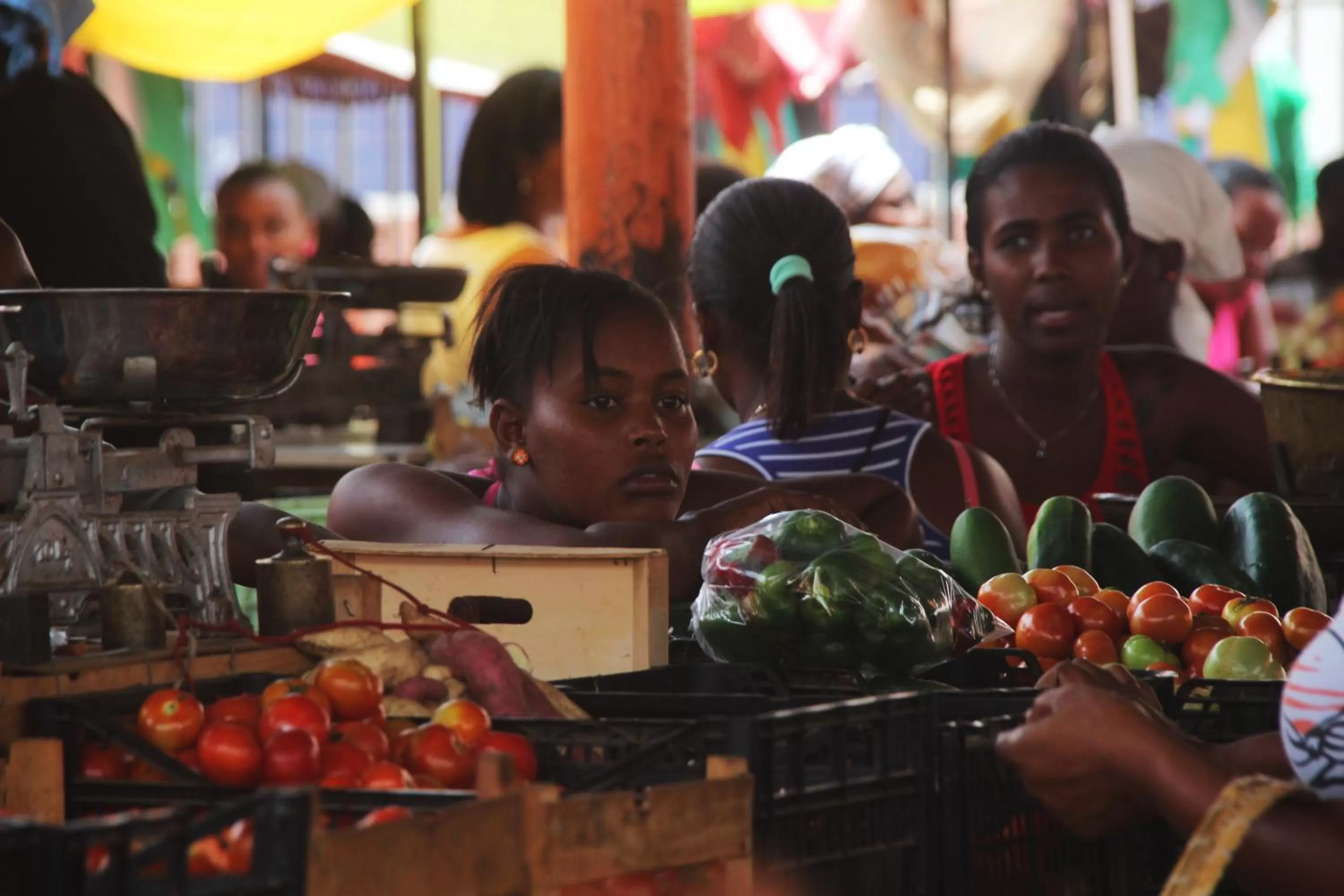 Other in O Jardim do Vinho, AC