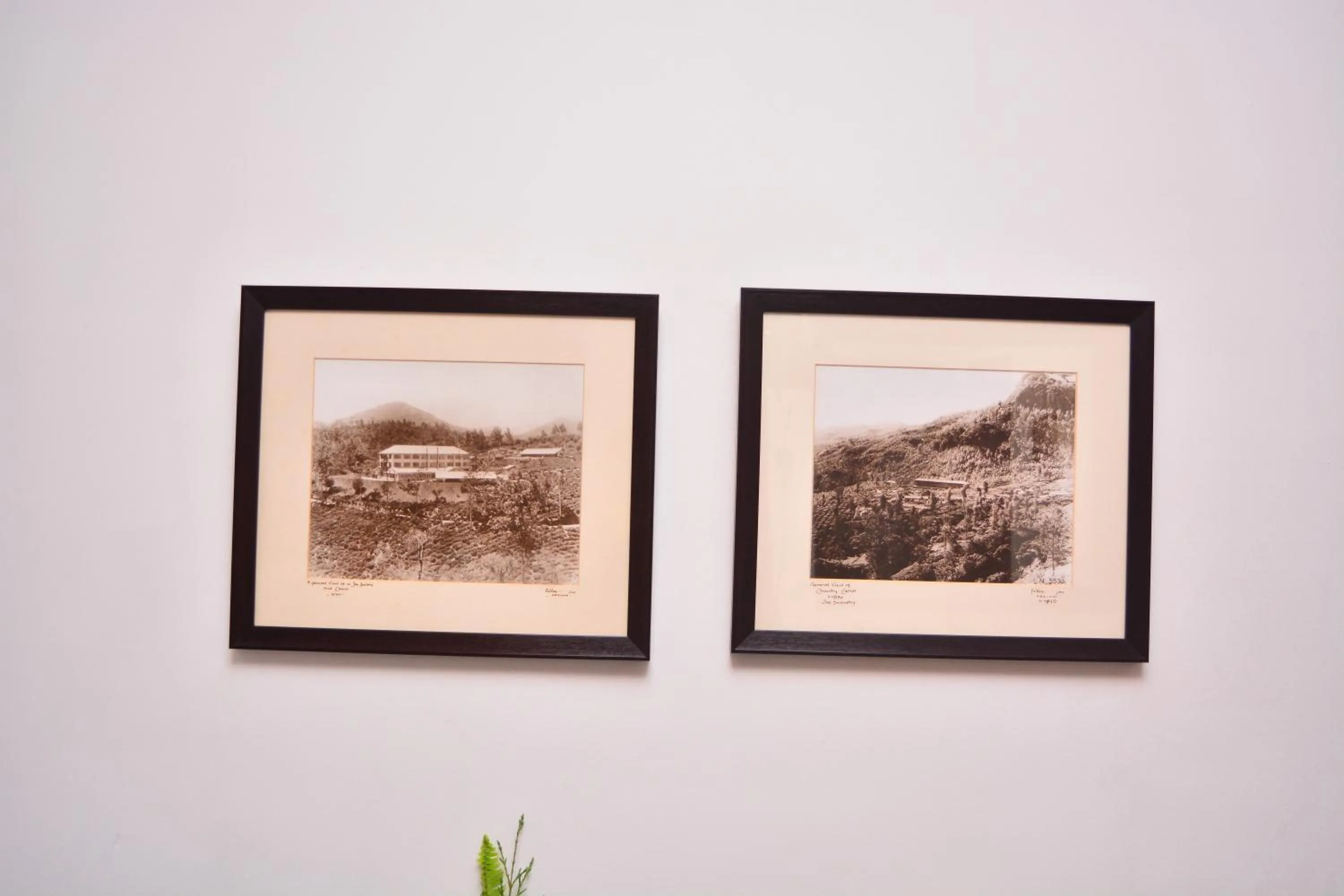 Decorative detail in Unique Cottages
