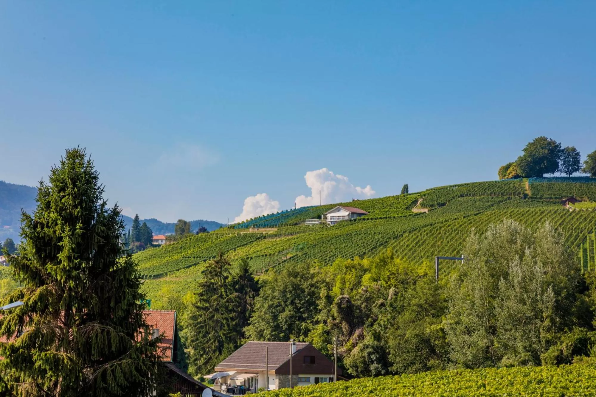 Off site in Hôtel de Chailly