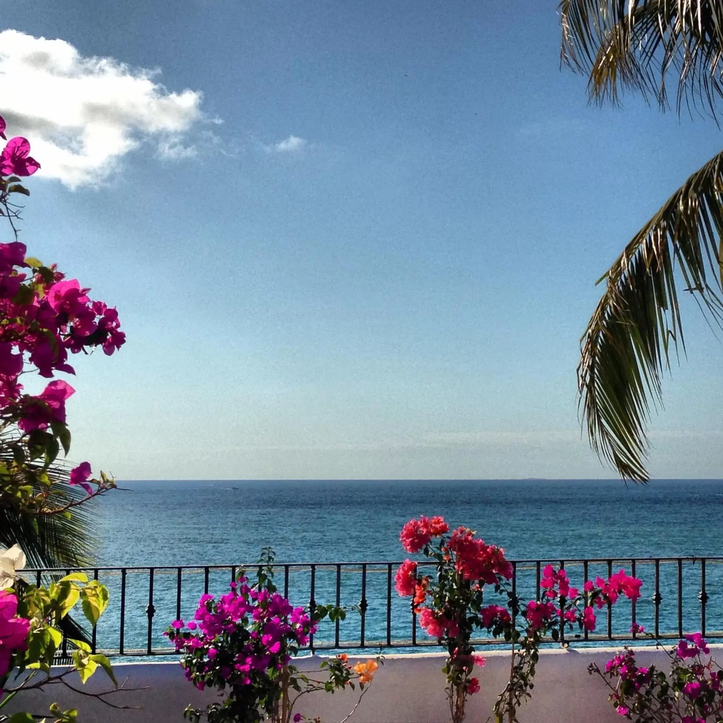 View (from property/room) in Emperador Vallarta Beachfront Hotel and Suites View (from property/room) in Emperador Vallarta Beachfront Hotel and Suites