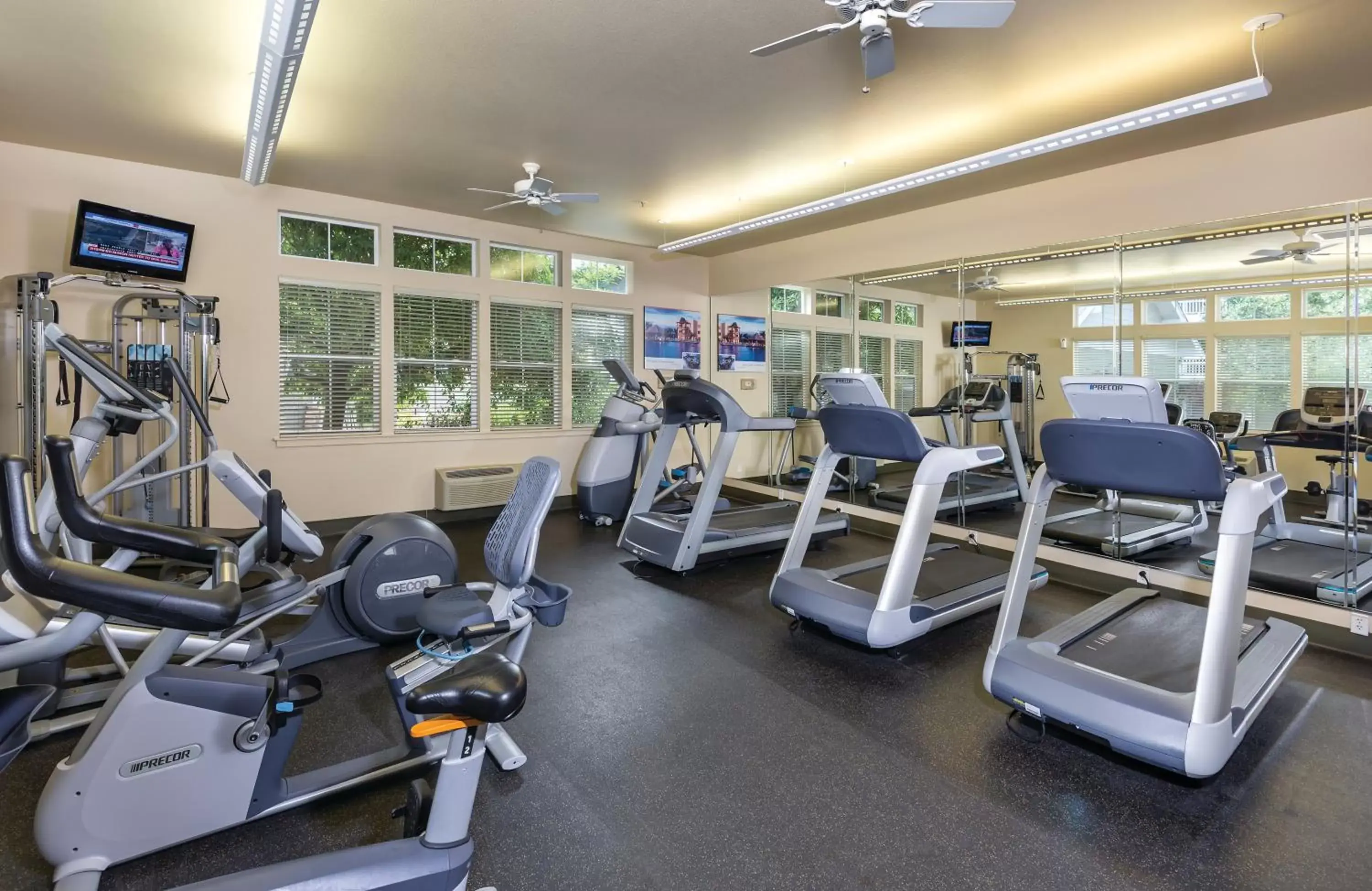 Fitness centre/facilities, Fitness Center/Facilities in Worldmark Windsor