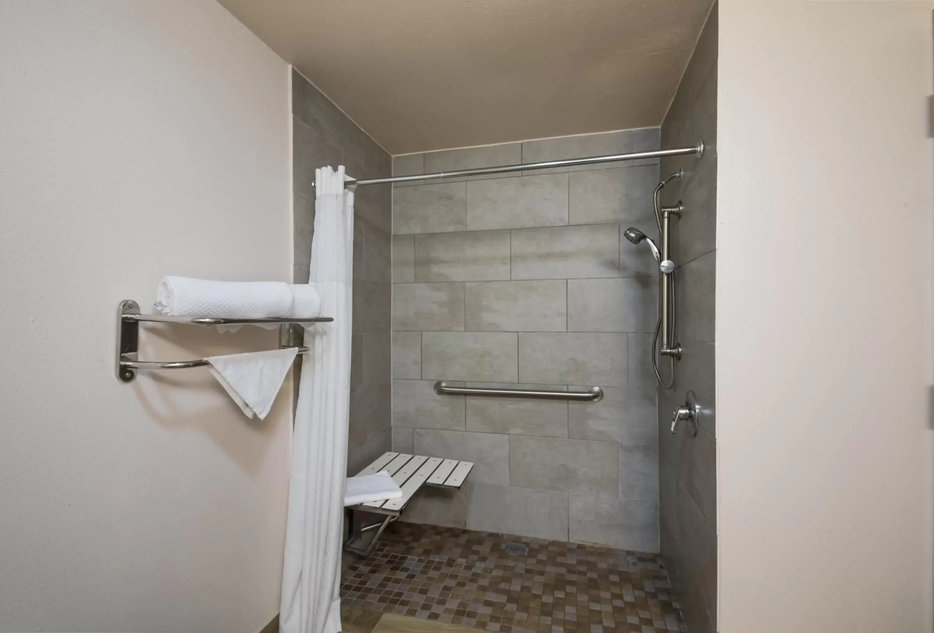 Shower, Bathroom in Quality Inn & Suites Round Rock