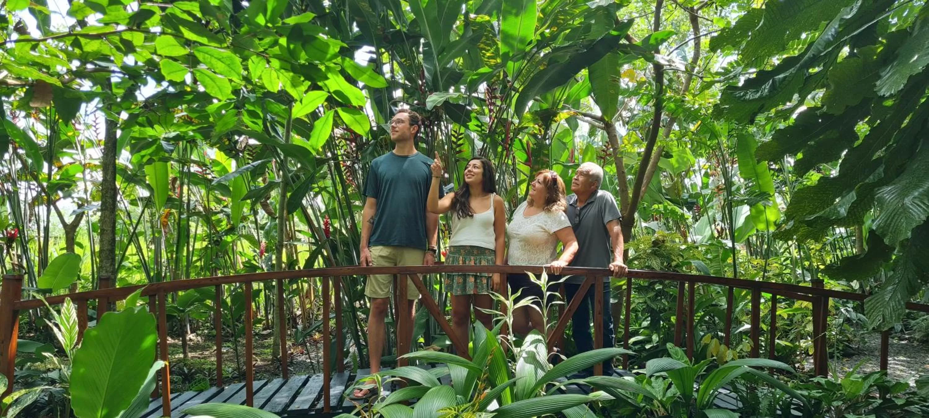 Garden in Hotel Vista del Cerro