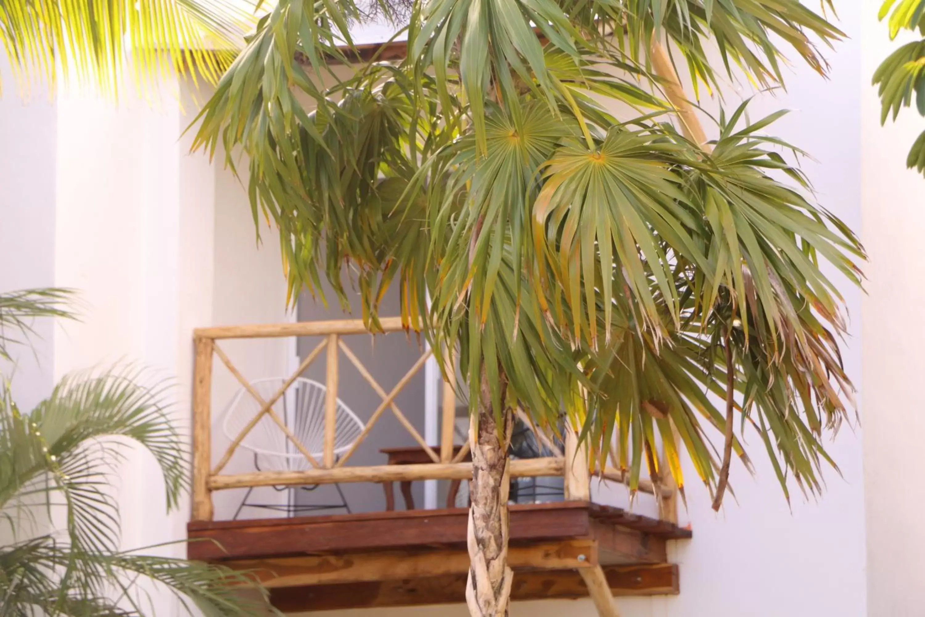 Balcony/Terrace in WishTulum