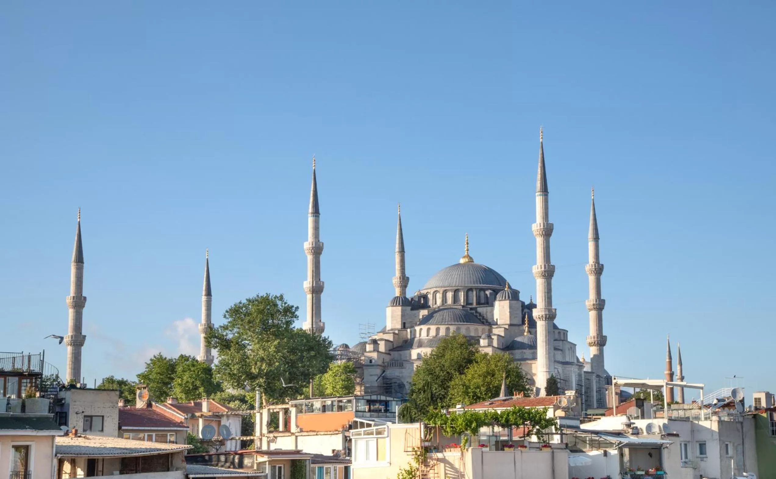 View (from property/room) in Mula Hotel