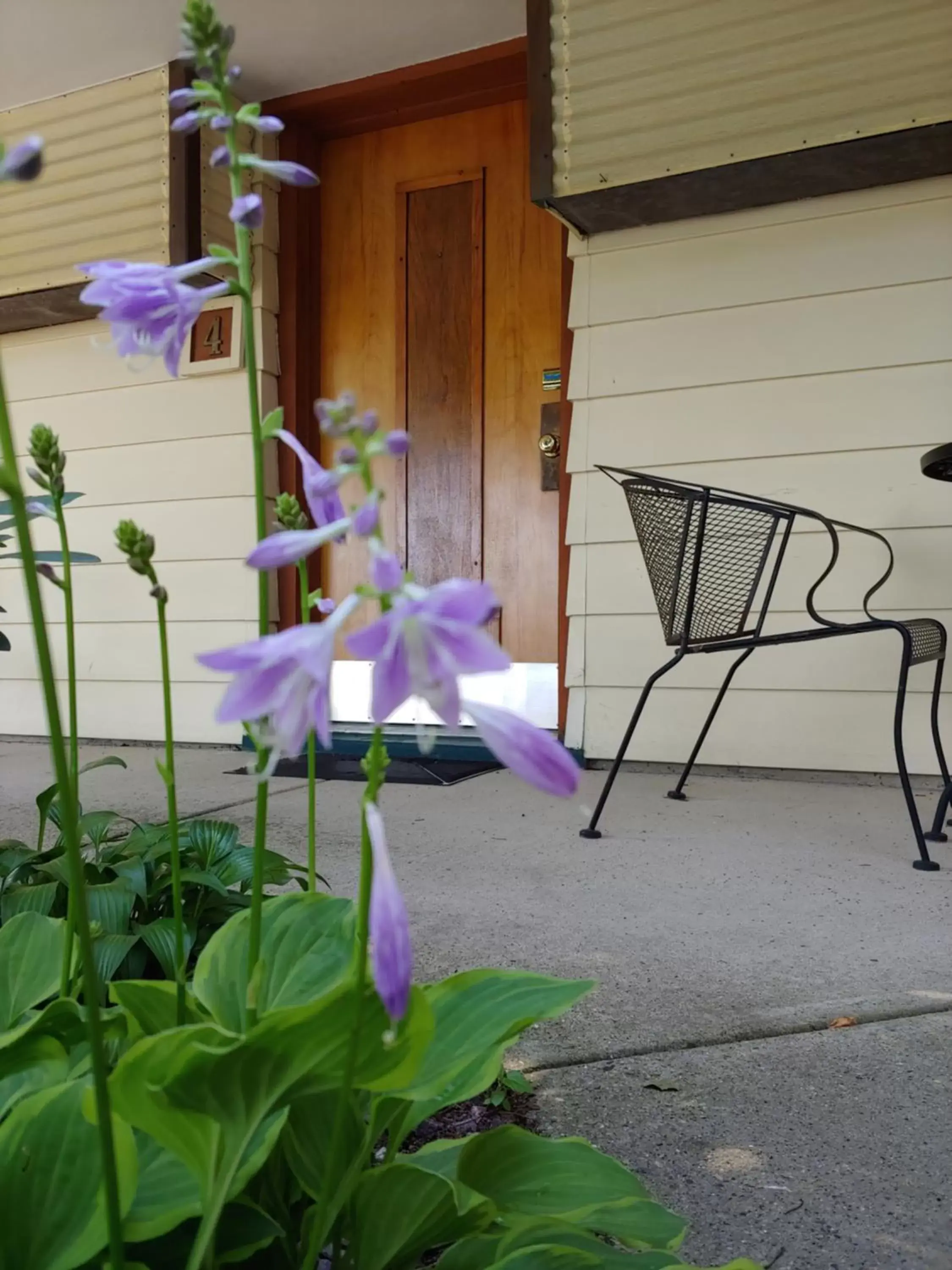 Patio in The Usonian Inn LLC