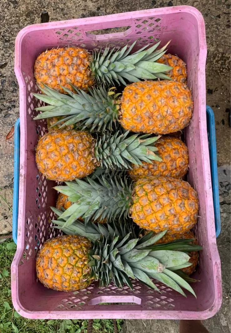 Food close-up in Sand Dollar Beach Bed & Breakfast