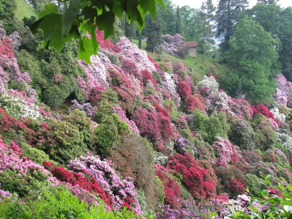 Hiking in B&B Villa Tavallini