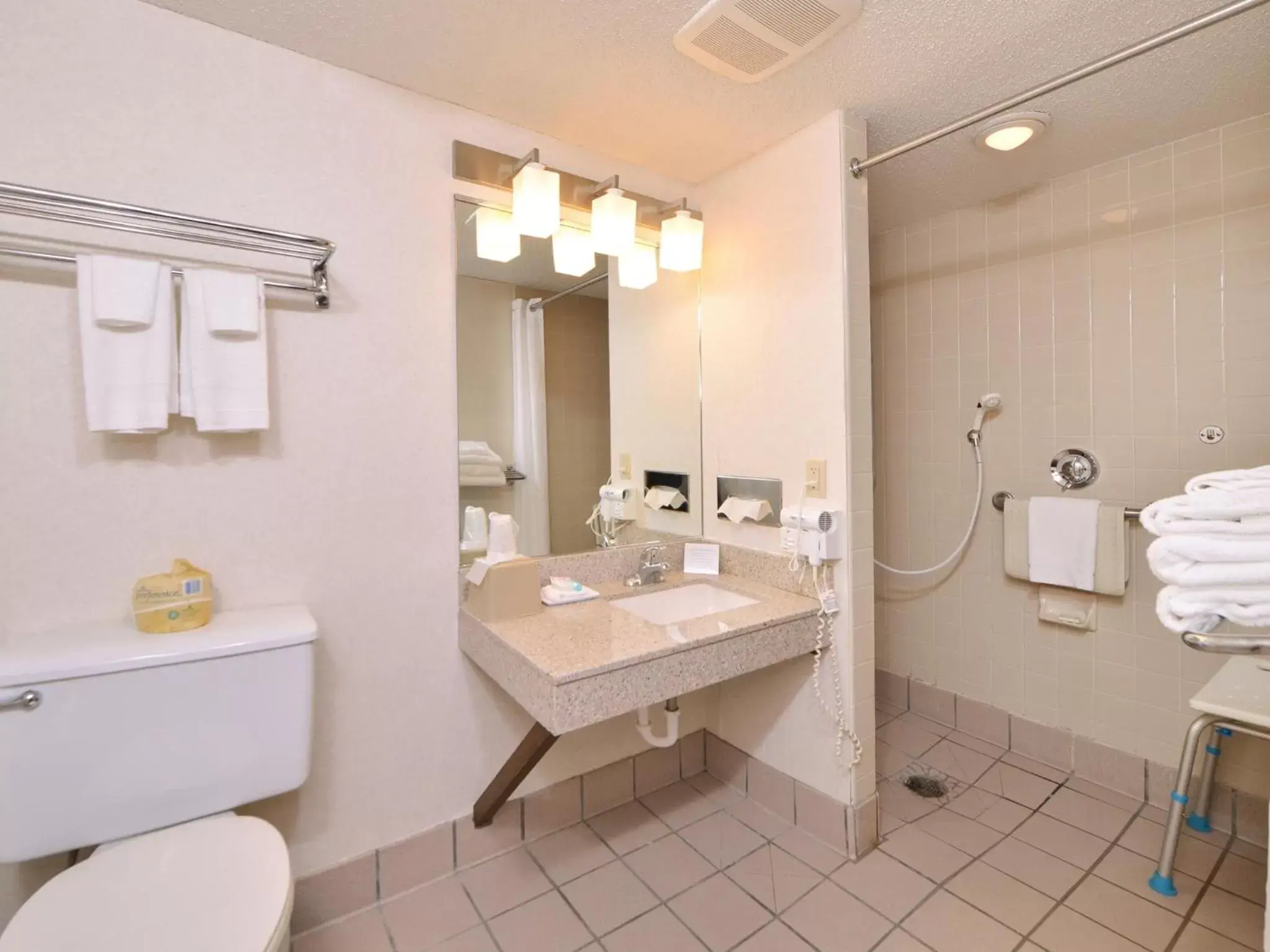 Bathroom in Best Western Kelly Inn - Yankton