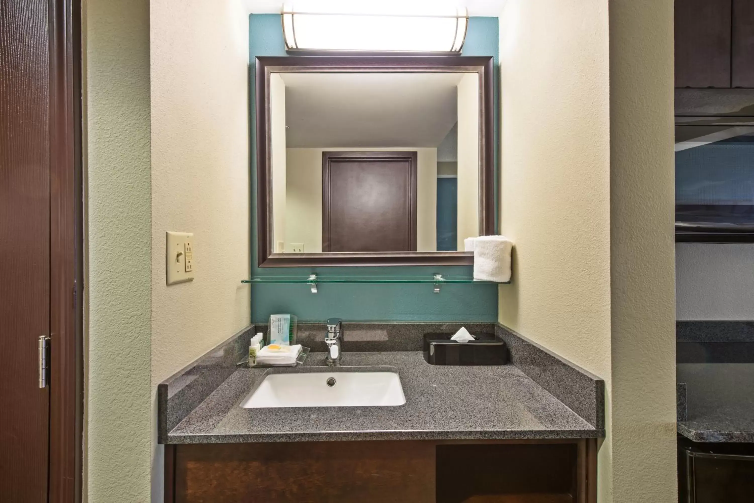 Bathroom in Holiday Inn Harrisburg East, an IHG Hotel