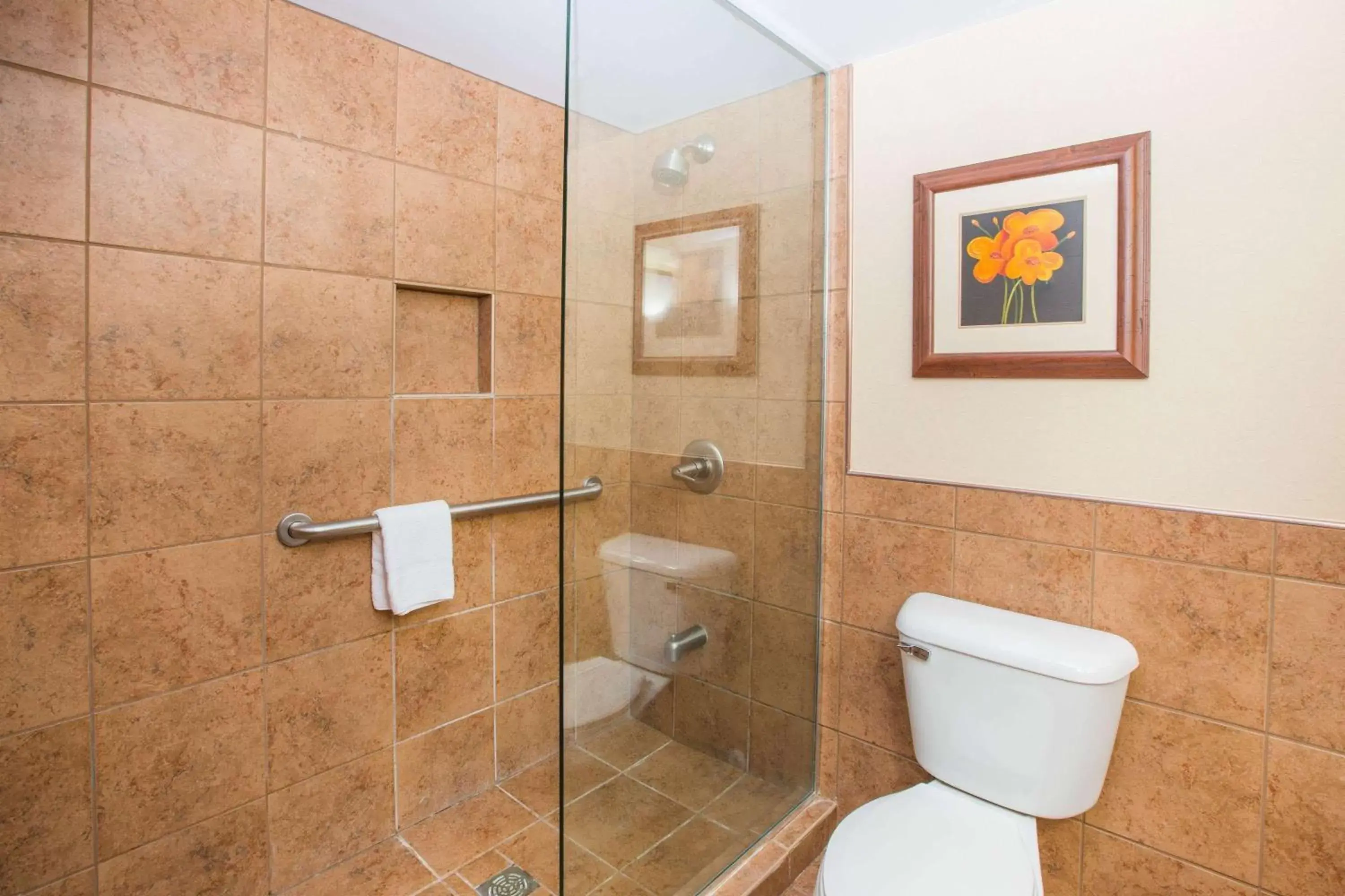 Photo of the whole room, Bathroom in Ramada by Wyndham Des Moines Tropics Resort & Conference Ctr