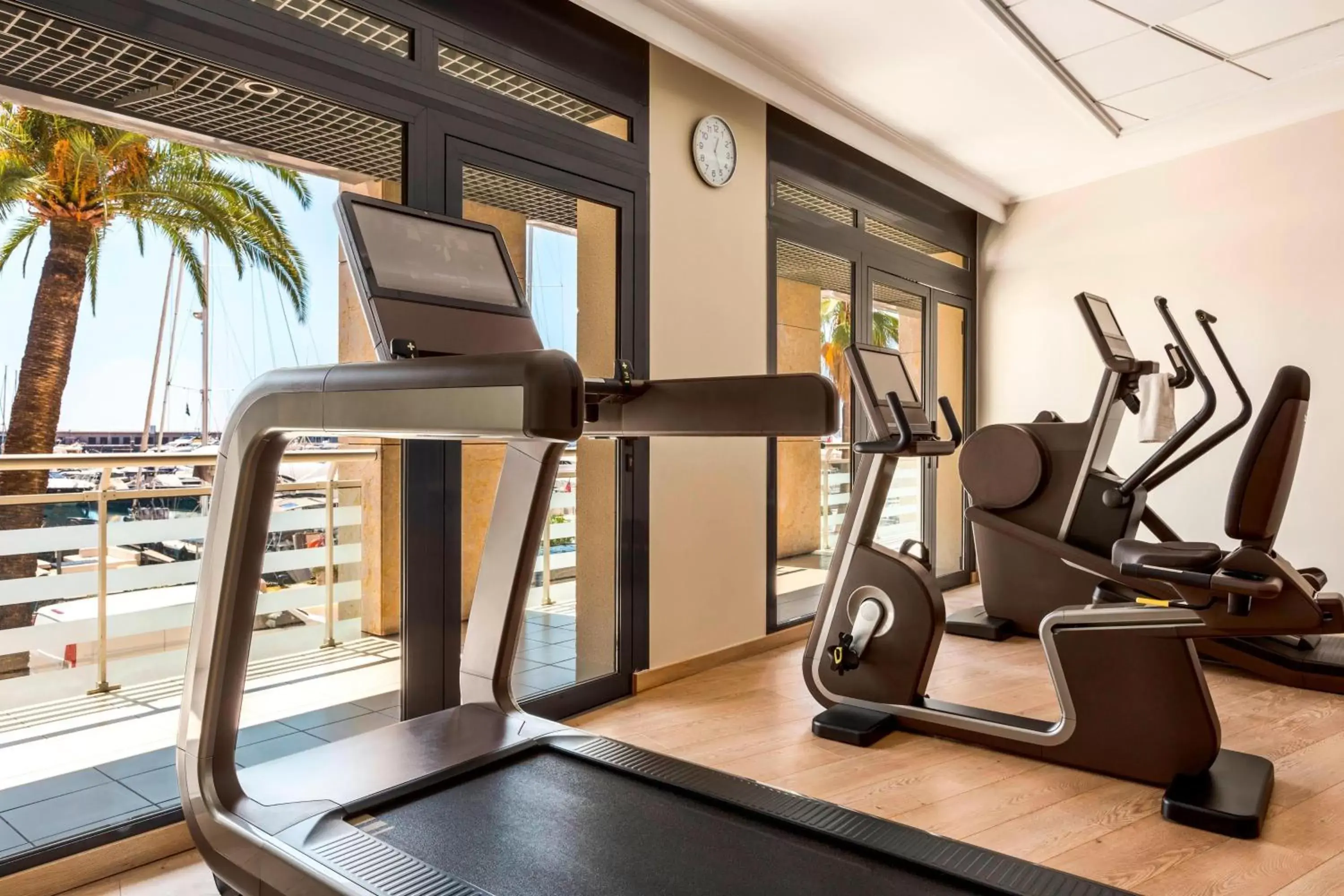 Fitness centre/facilities, Fitness Center/Facilities in Riviera Marriott Hotel La Porte De Monaco