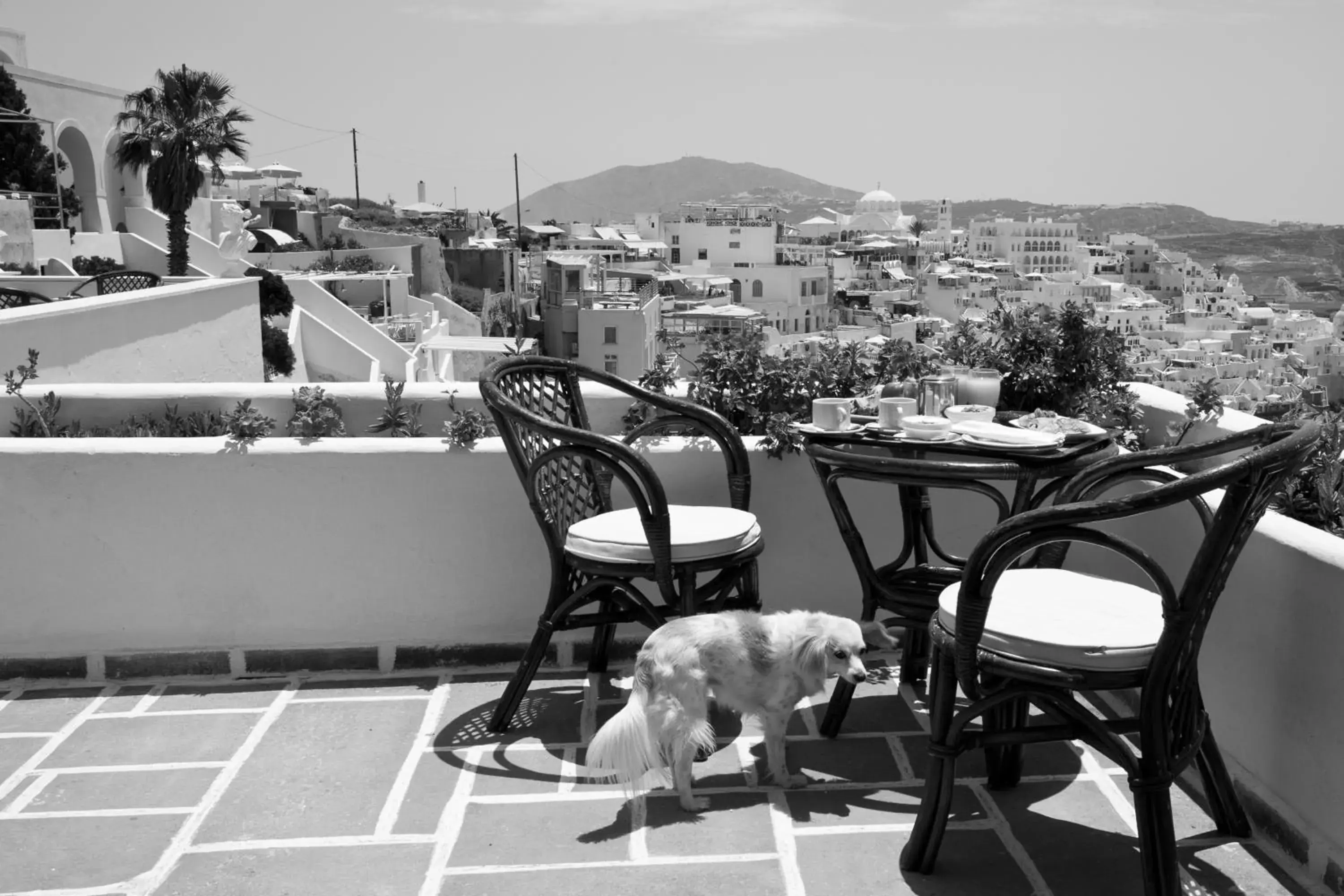 Balcony/Terrace in Kastro Suites