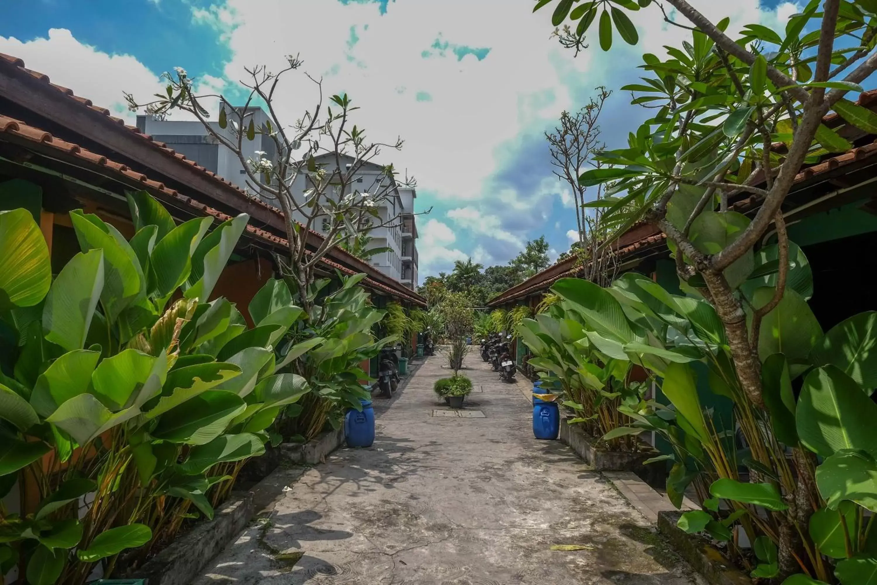 Garden in RedDoorz near Lotte Mart Maguwoharjo Yogyakarta
