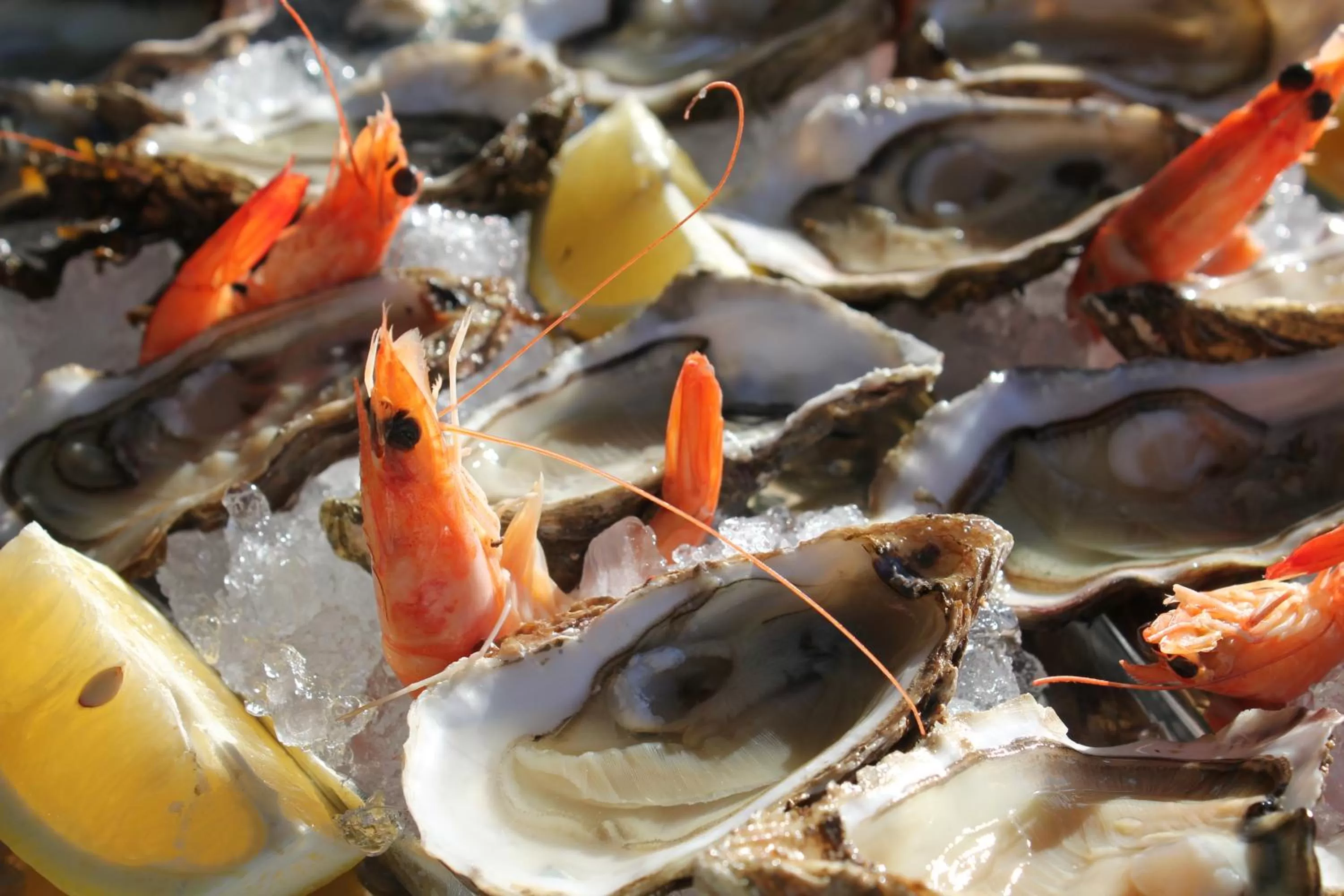 Food close-up in Hôtel Restaurant Ferme de la Grande Cour