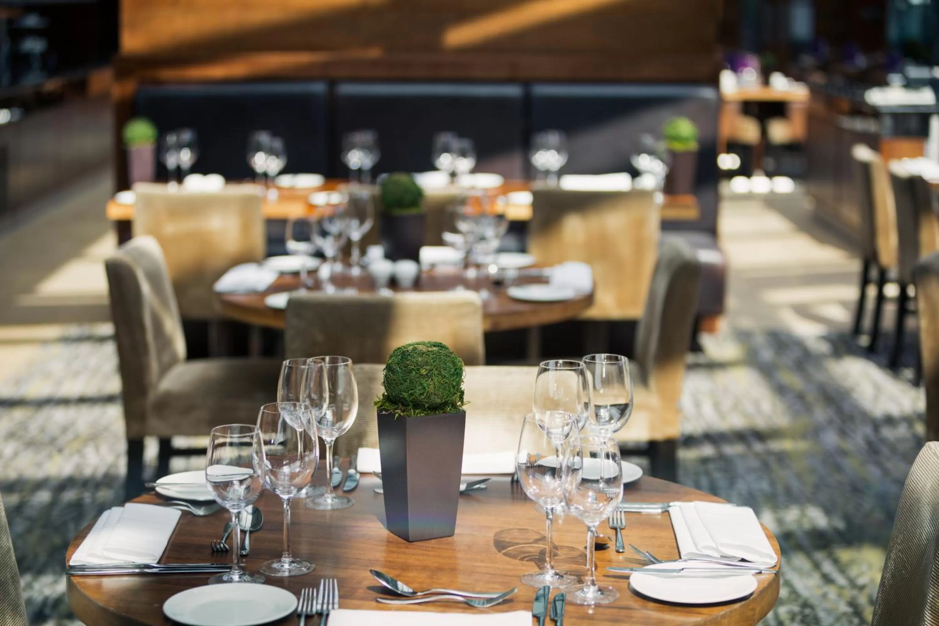 Restaurant/places to eat in Mercure Sheffield St Paul's Hotel & Spa