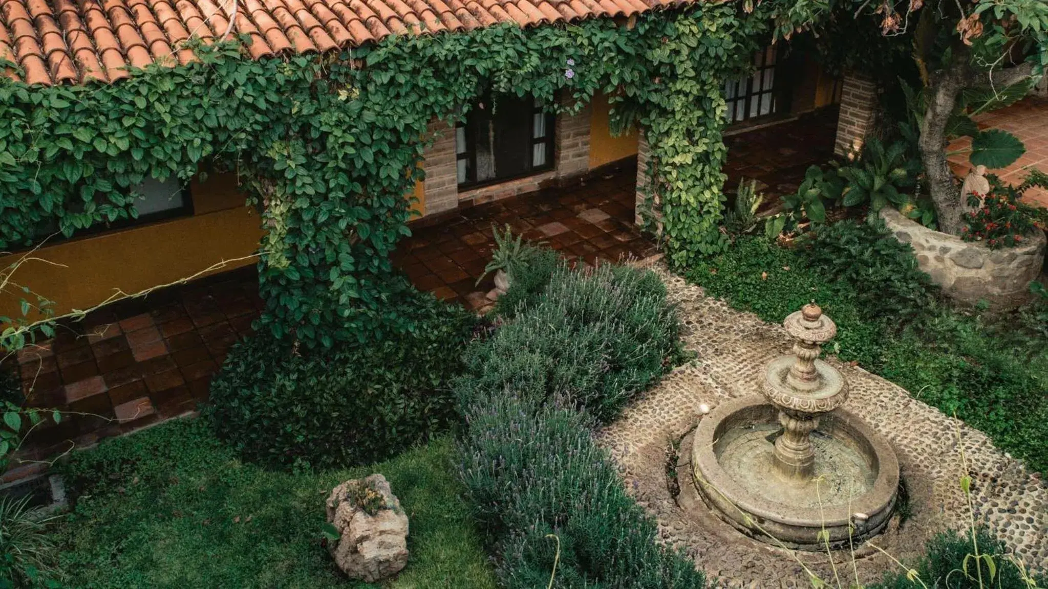 Garden view in Quinta San Carlos
